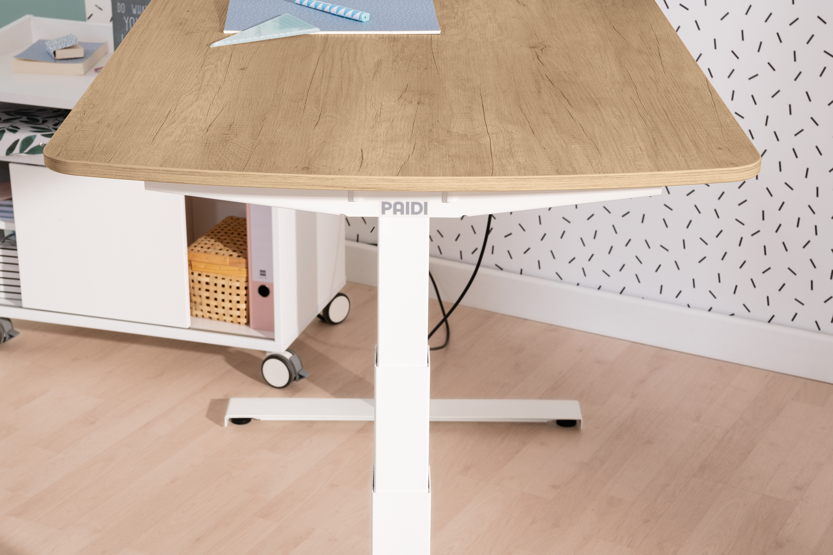 PAIDI Schreibtisch E-LION