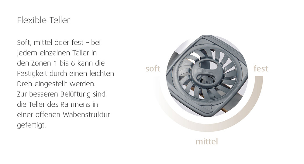 TEMPUR cadre moteur PREMIUM FLEX 3000