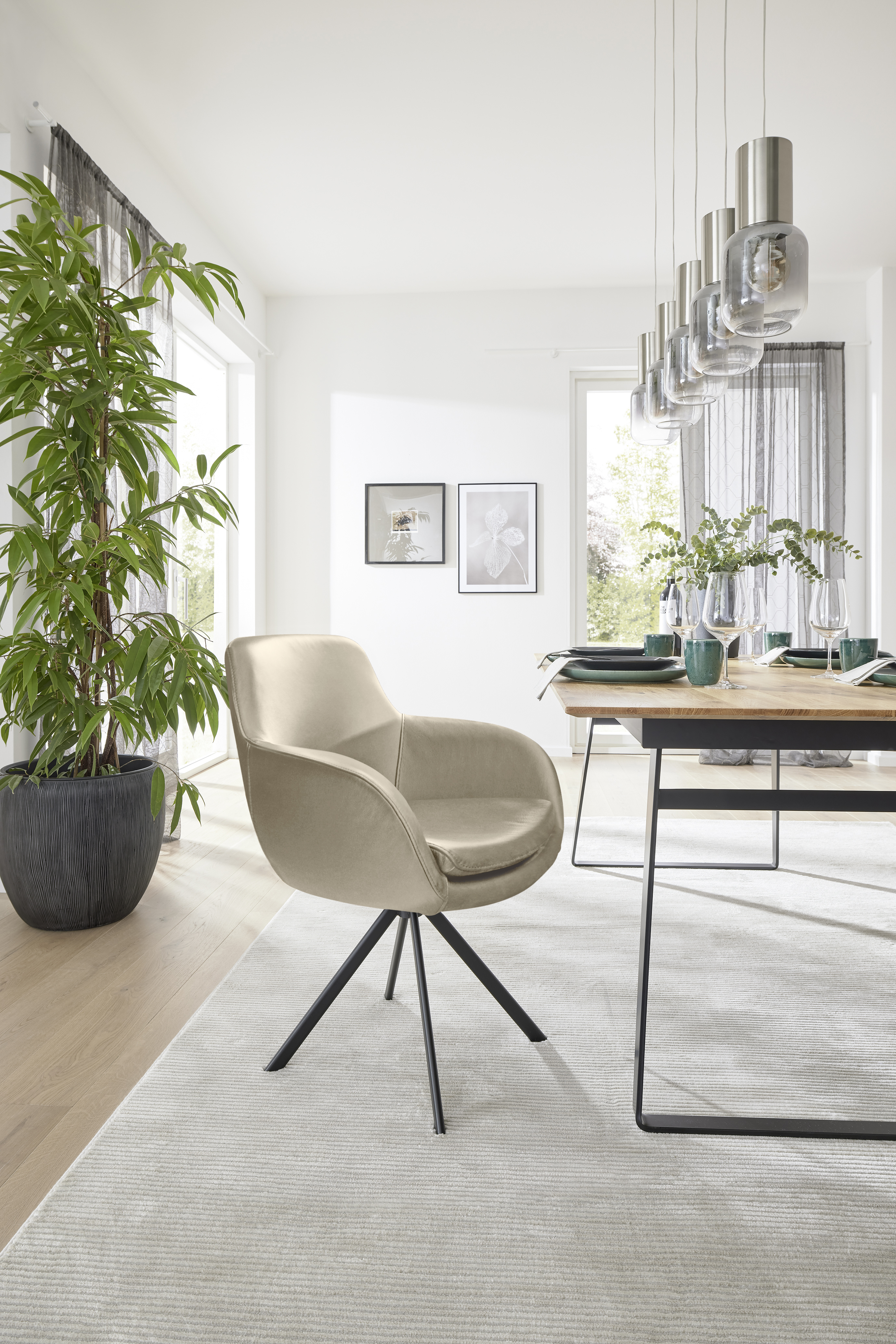 MUSTERRING Stuhl TAVIA MUSTERRING Stuhl TAVIA