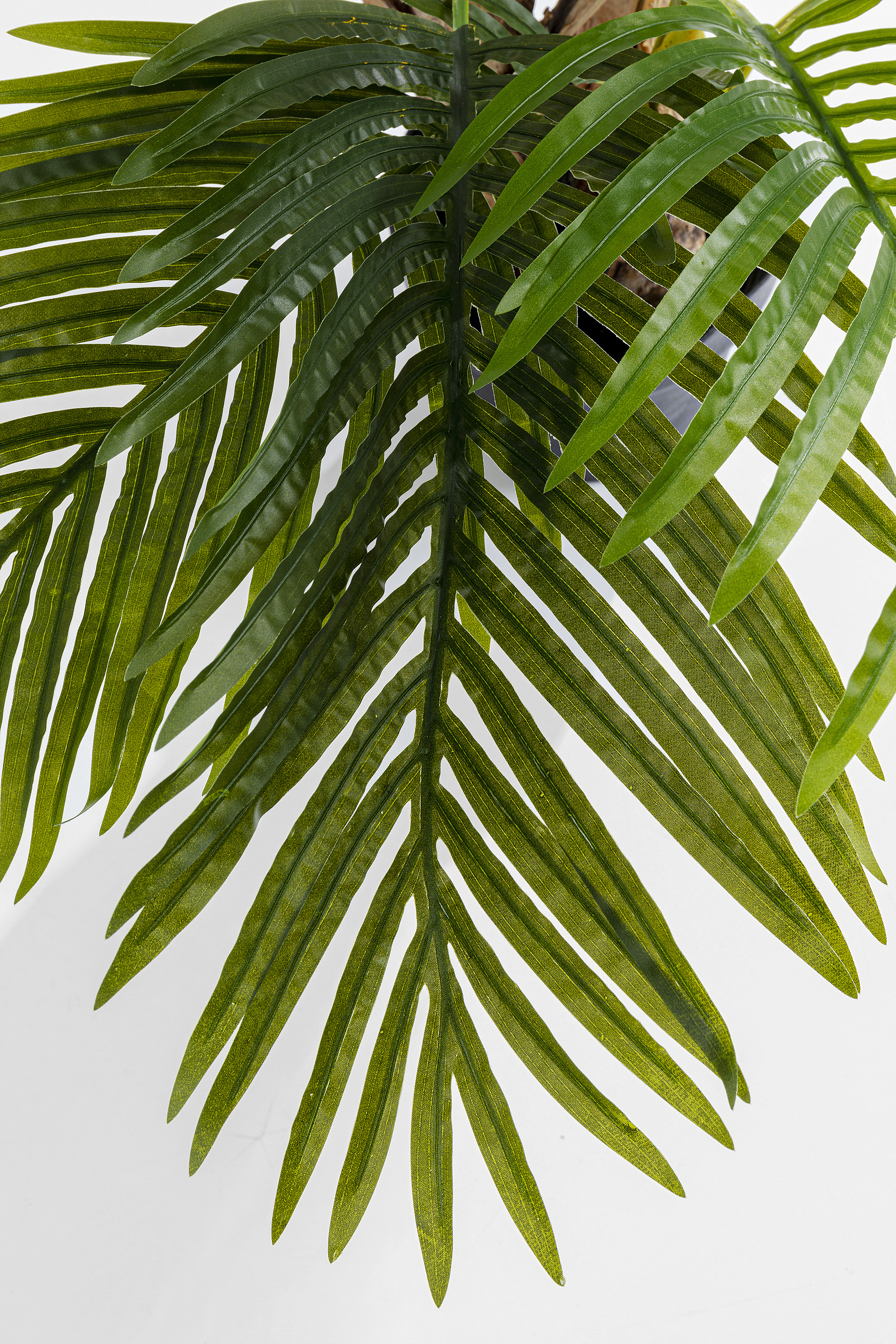 KARE Kunstpflanze PALM TREE KARE Kunstpflanze PALM TREE