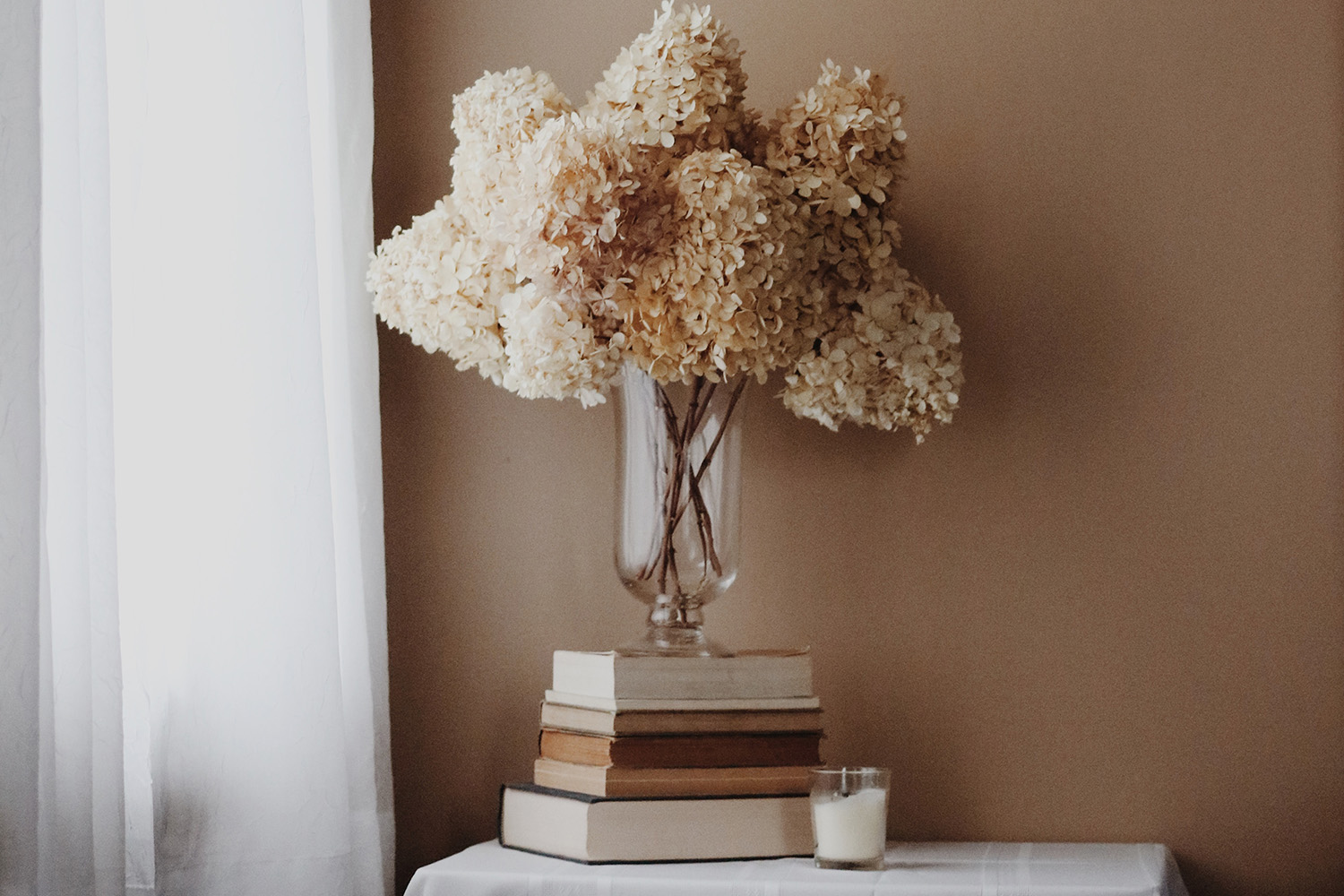 Inspiration White Nature