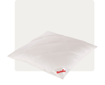 Klassisches_Kissen_Feld