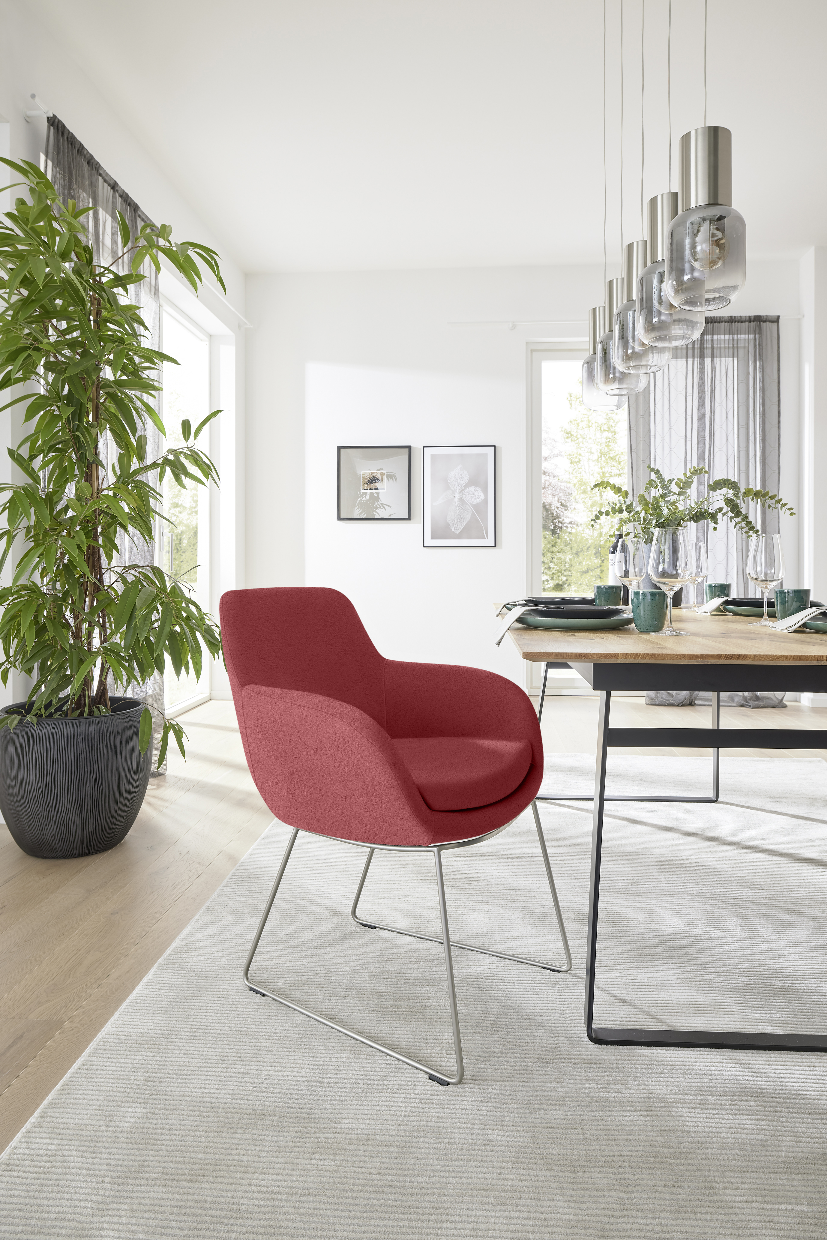 MUSTERRING Stuhl TAVIA MUSTERRING Stuhl TAVIA