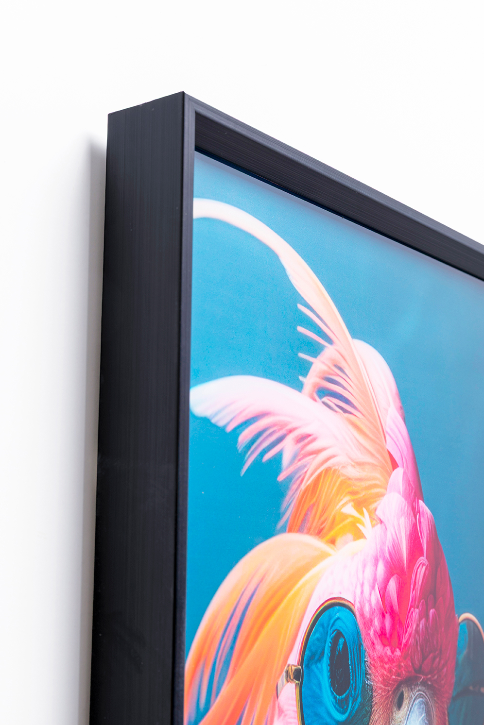 KARE Glasbild COCKATOO CHATTER