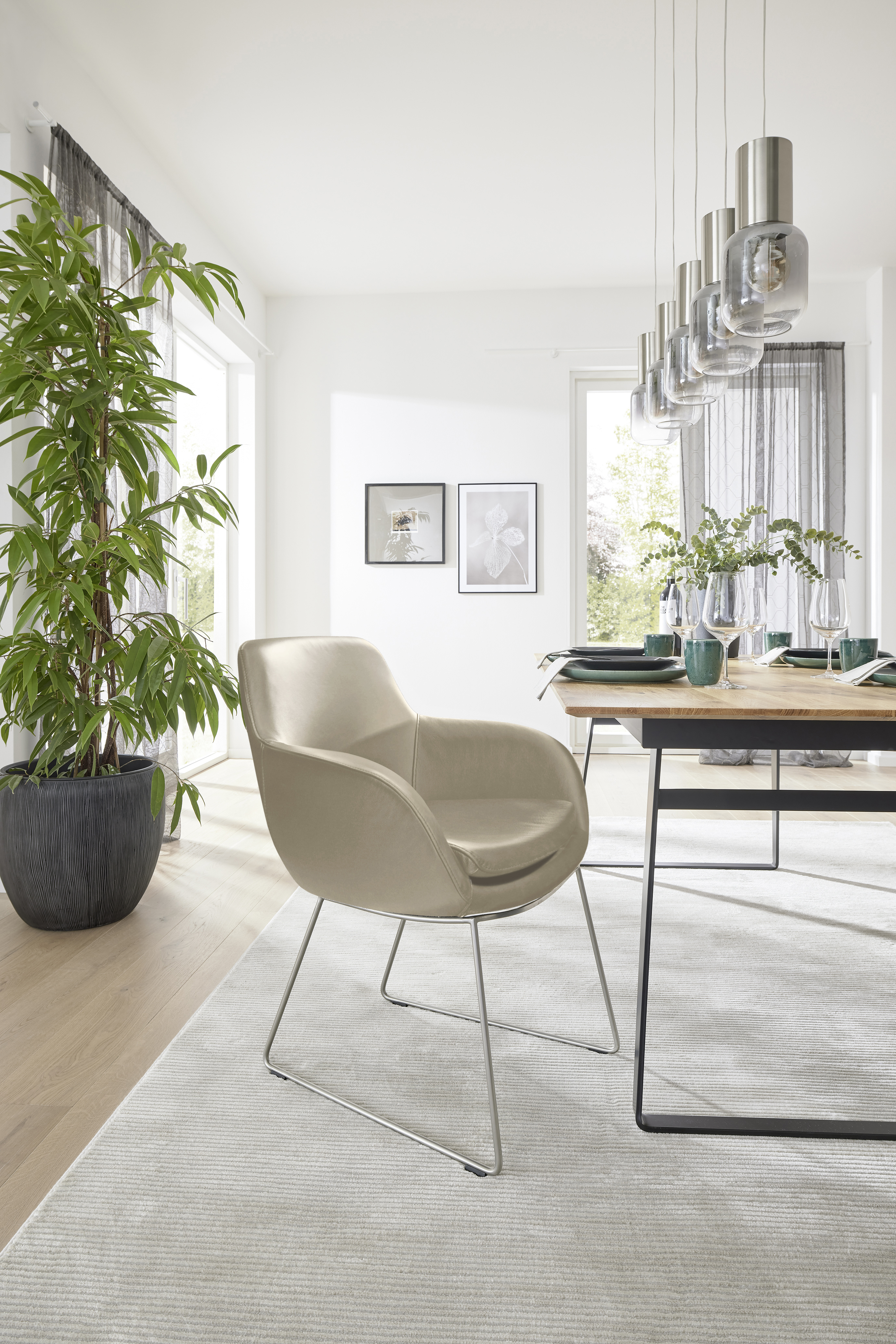 MUSTERRING Stuhl TAVIA MUSTERRING Stuhl TAVIA