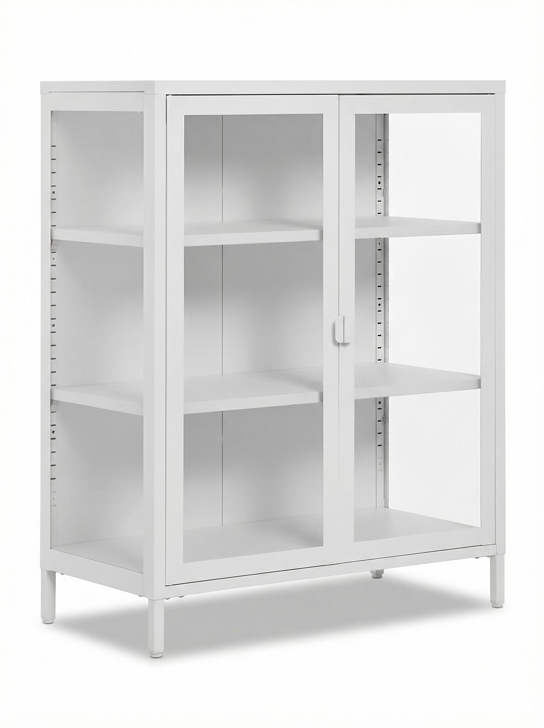 Faee display case ELV