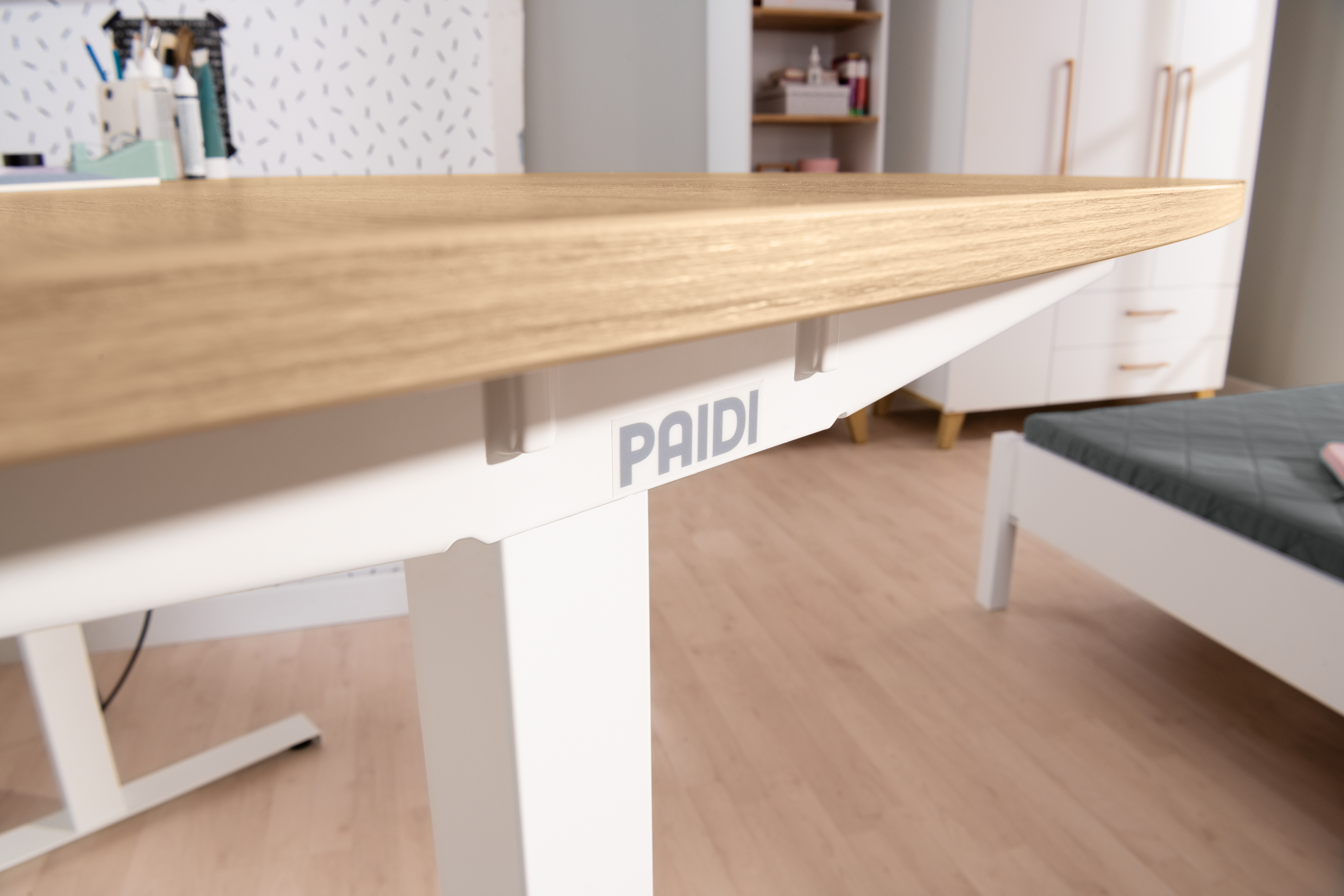Paidi E-LION desk