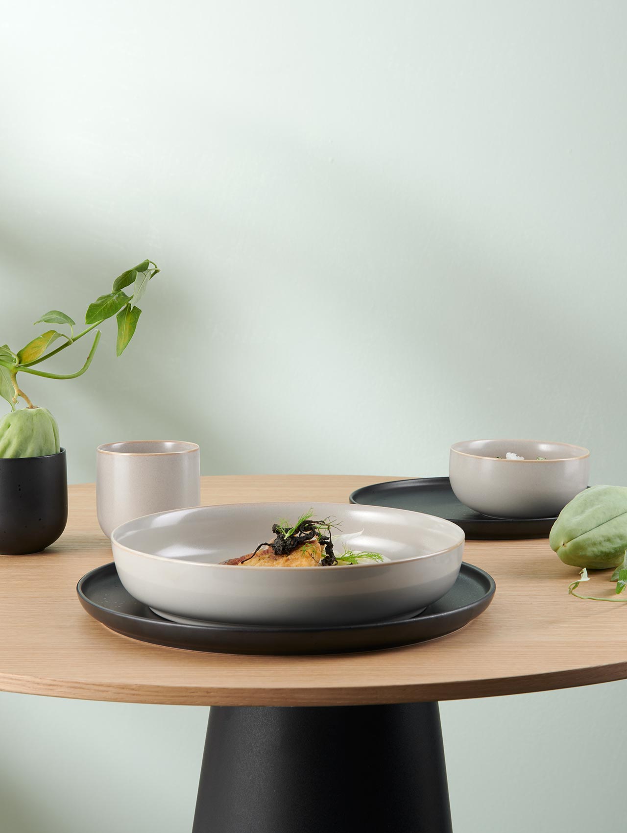ASA Gourmetteller COPPA