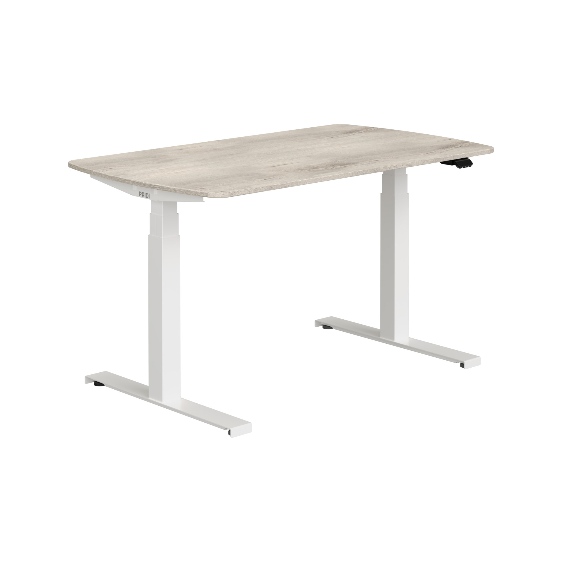 Paidi E-LION desk