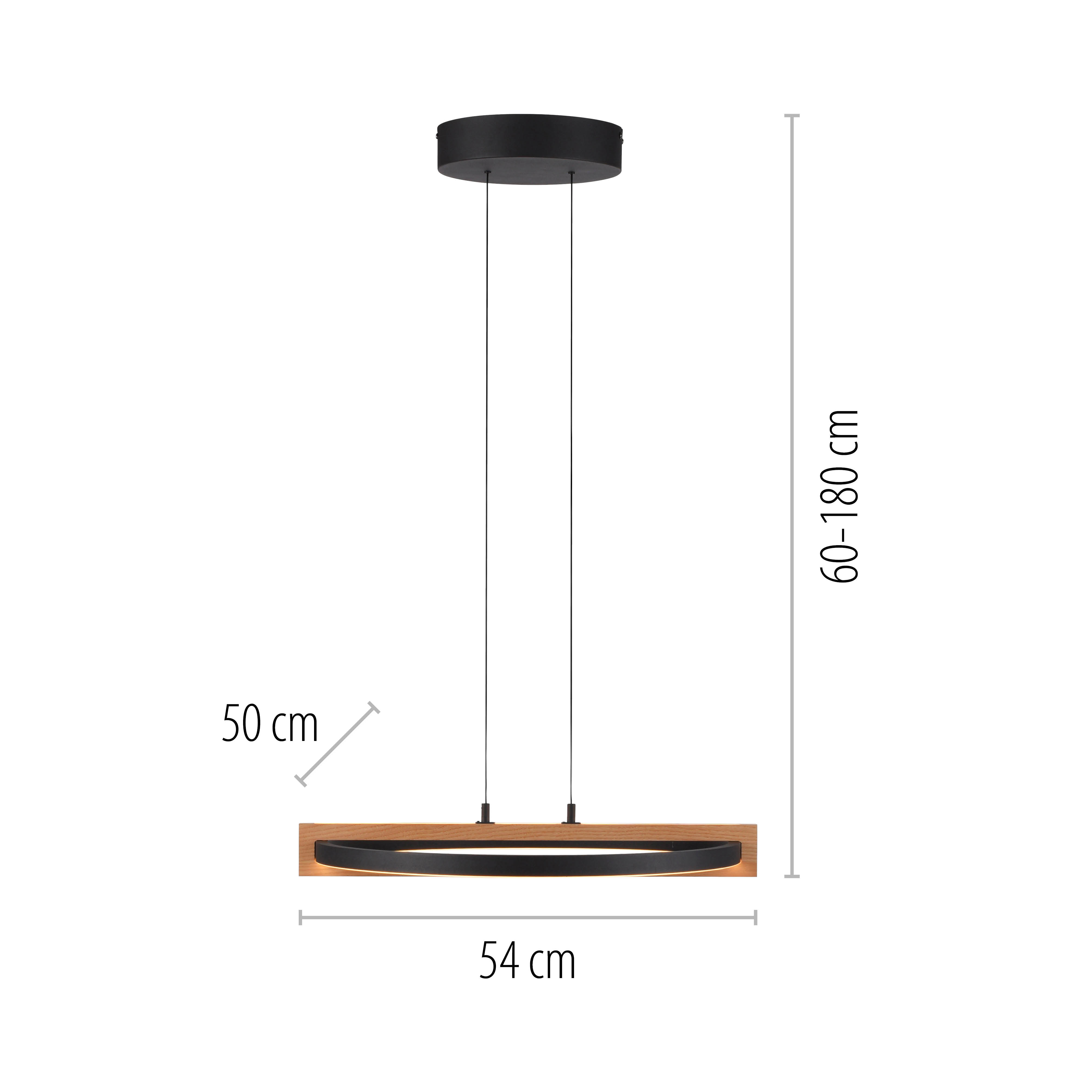 MONDO Pendelleuchte FAMERA