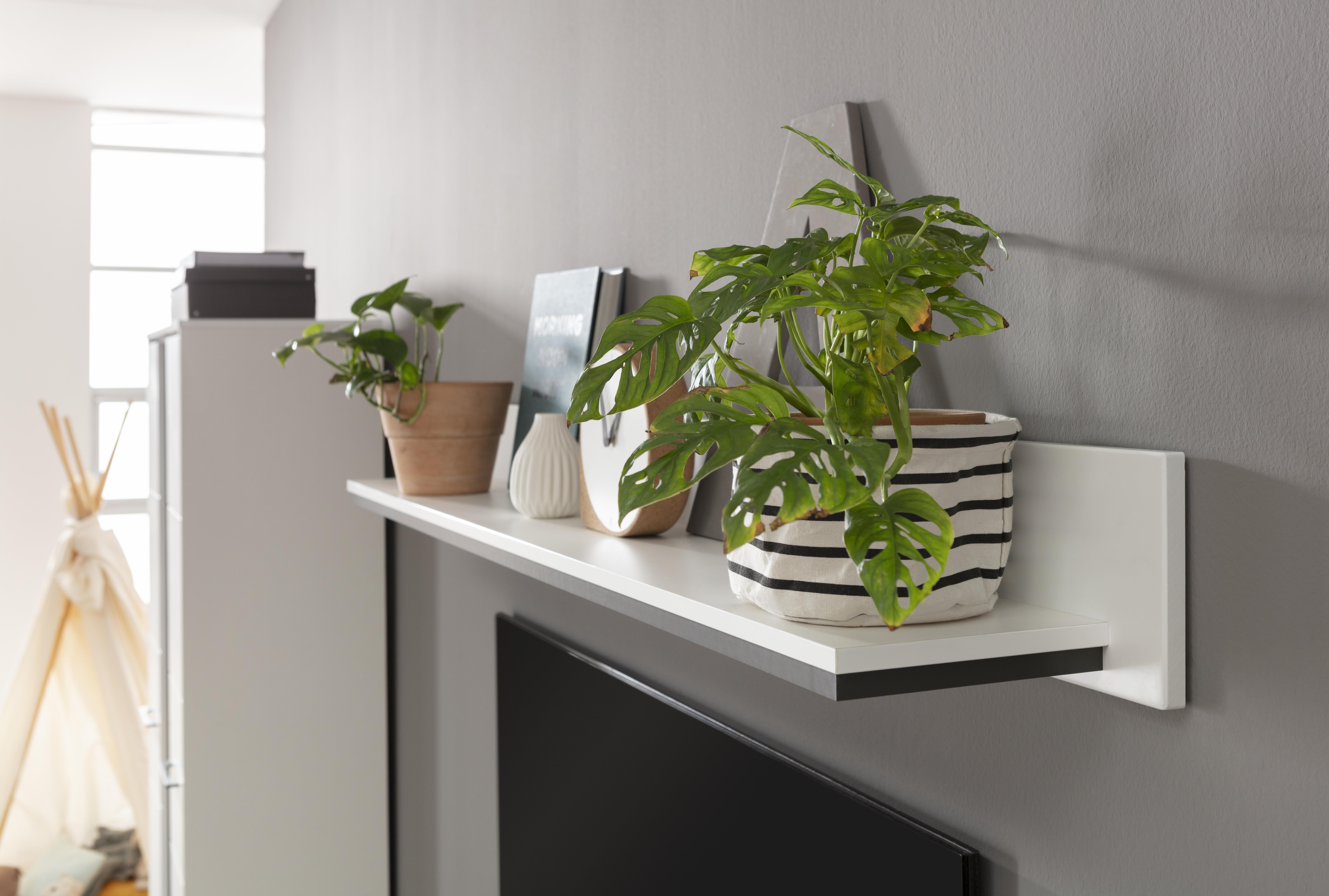 LIV'IN Wandboard LOREDO152 LIV'IN Wandboard LOREDO152