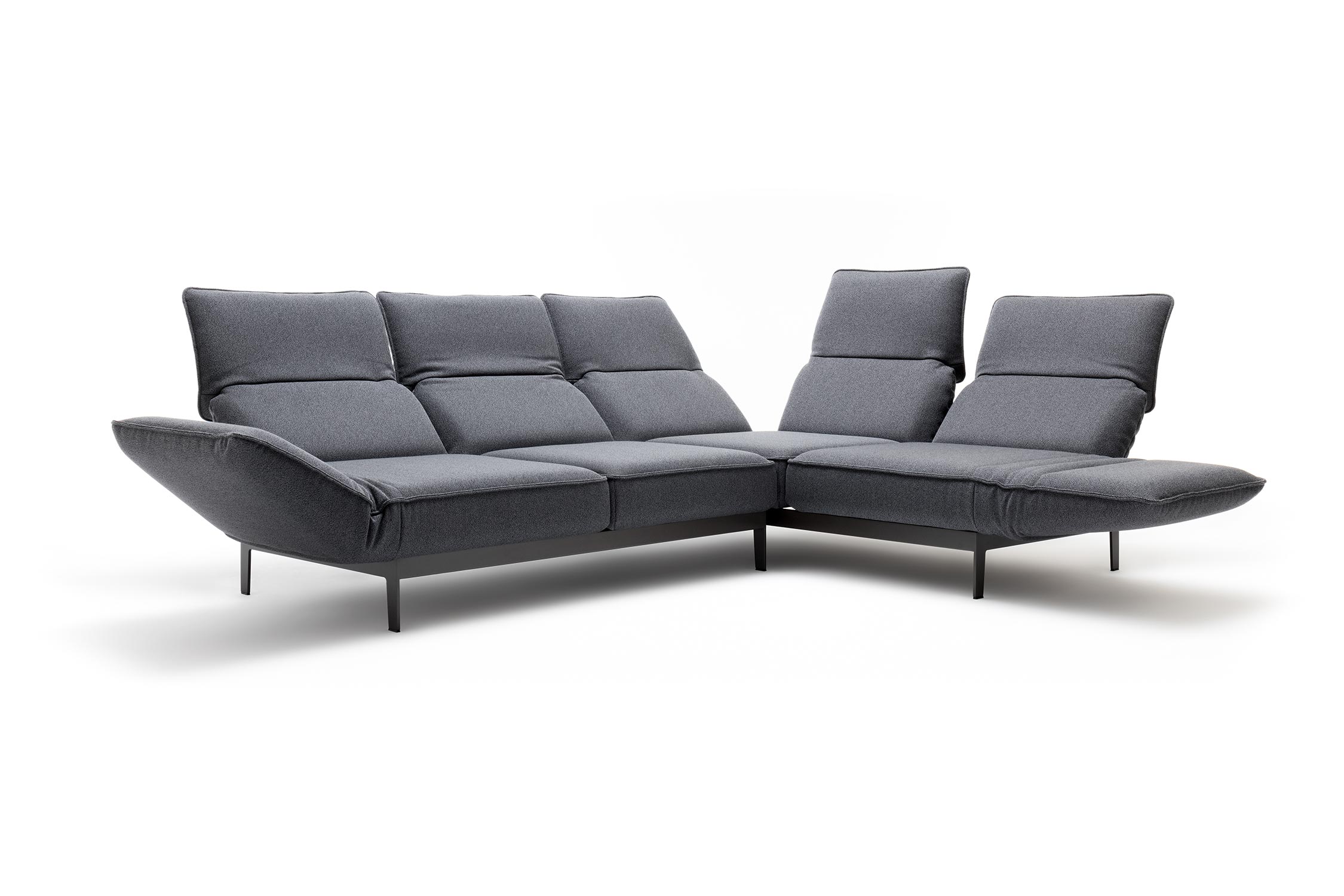 ROLF BENZ Sofa MERA ROLF BENZ Sofa MERA