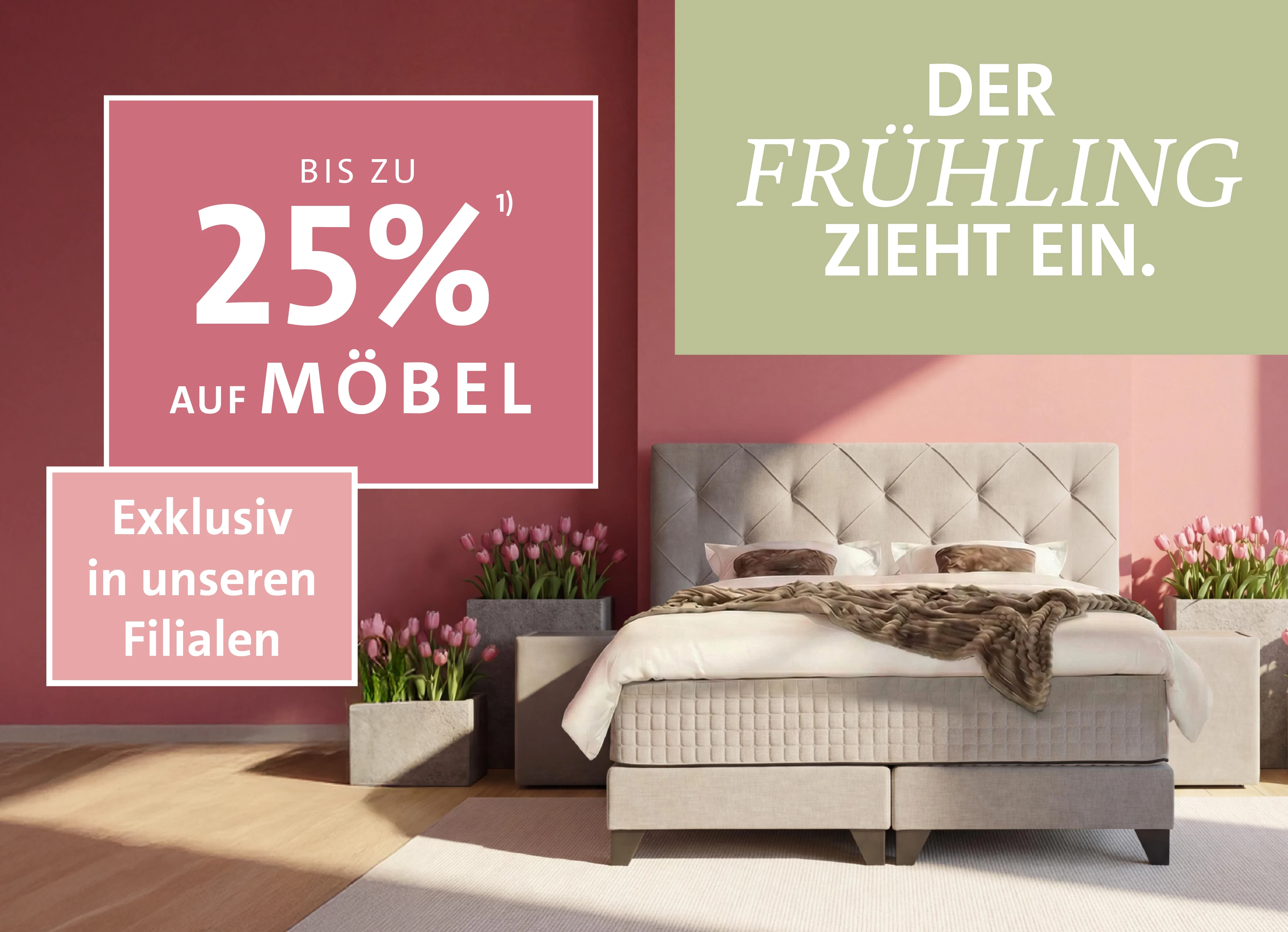 Spring - Le printemps s'installe !