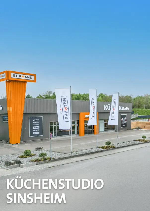 Sinsheim_Aussenansicht