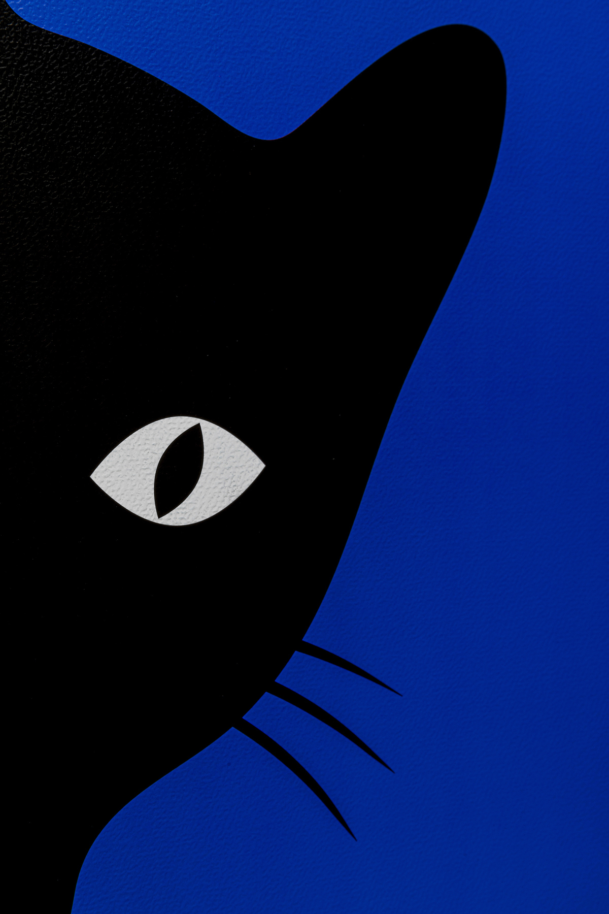 KARE Gerahmtes Bild CIAO GATTO