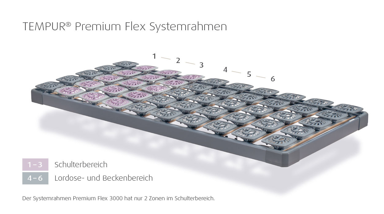 TEMPUR cadre moteur PREMIUM FLEX 3000