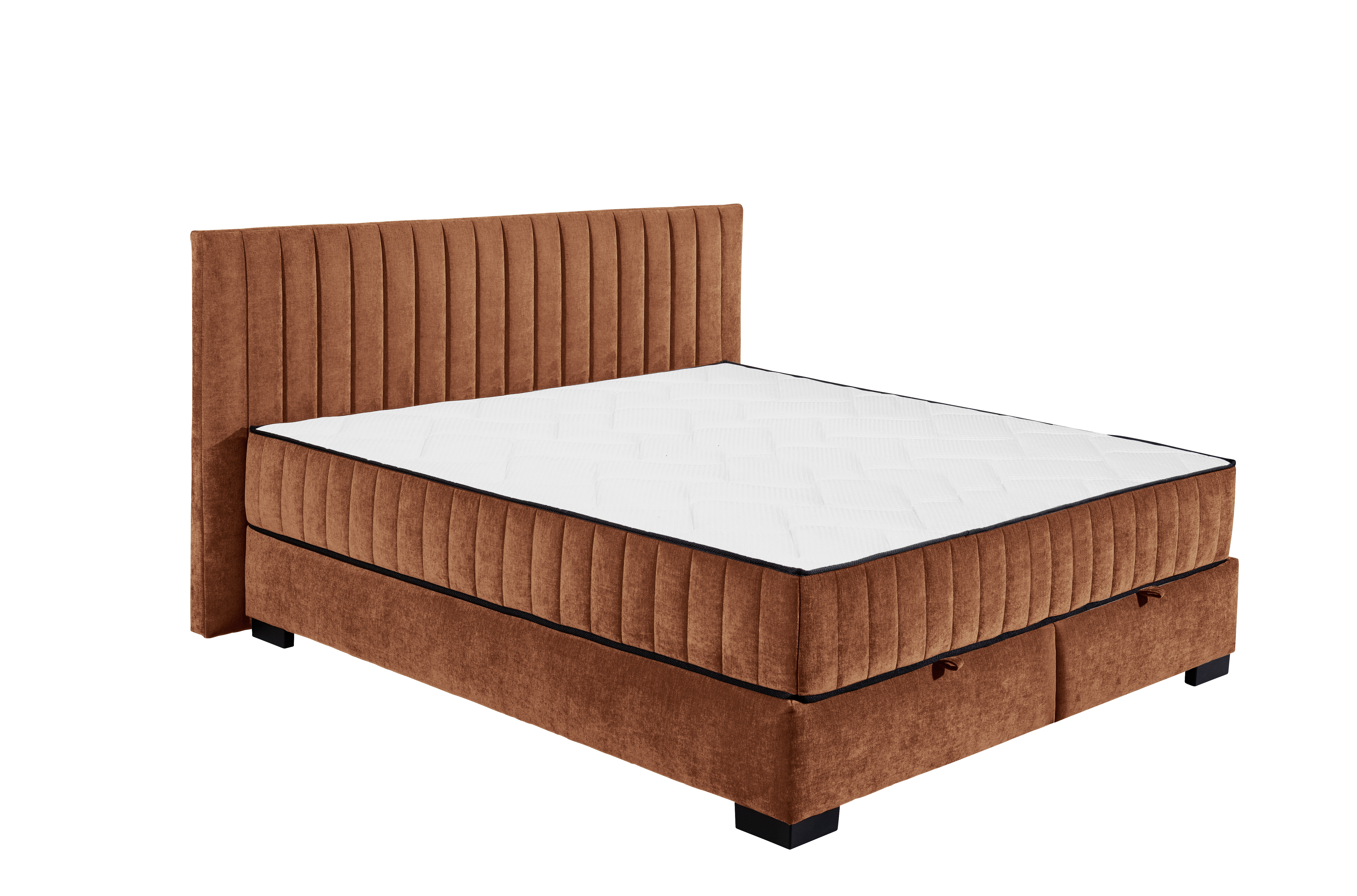 ED LIFESTYLE Boxbett NAGOL