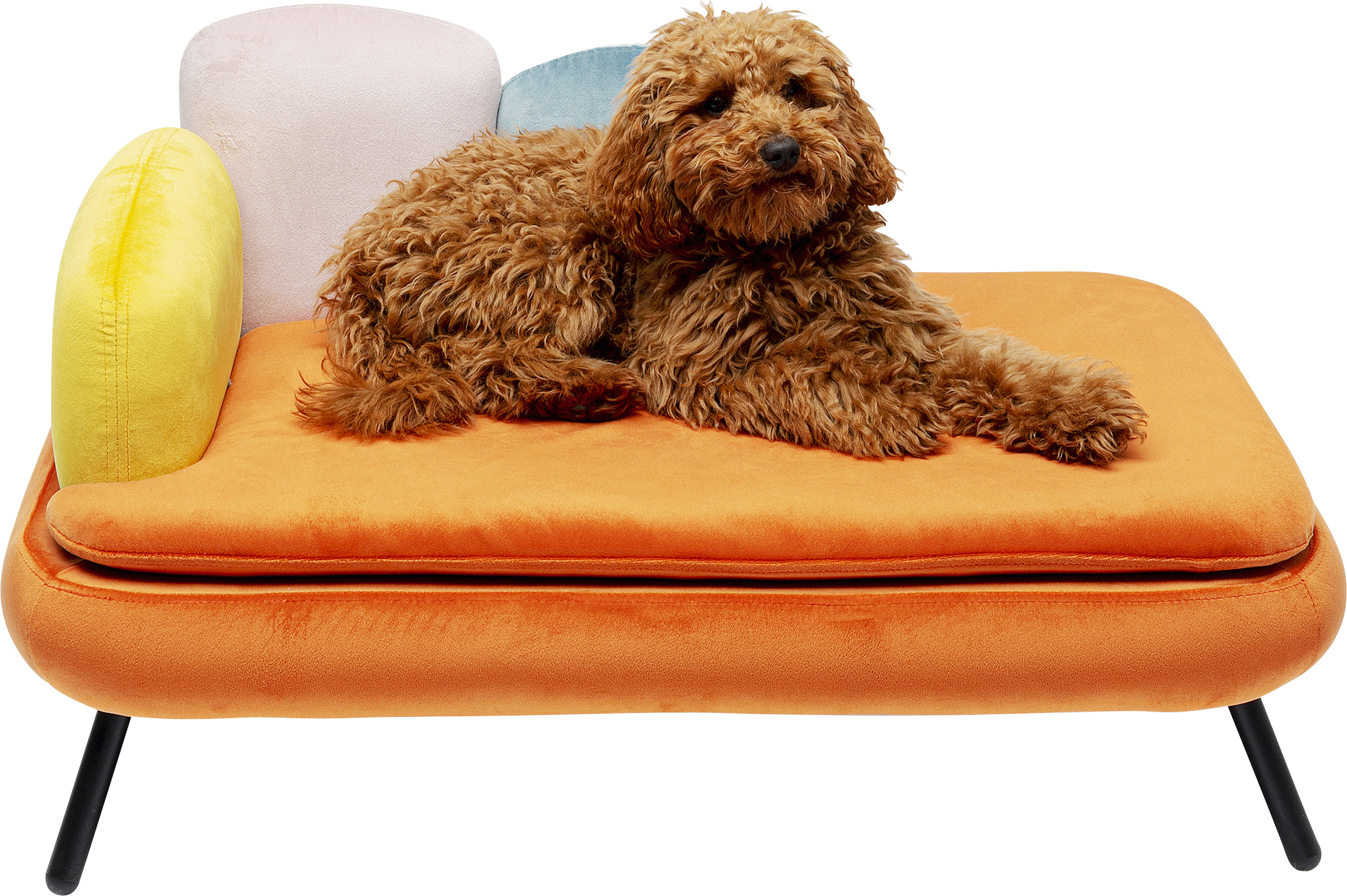KARE Hundebett DIVA