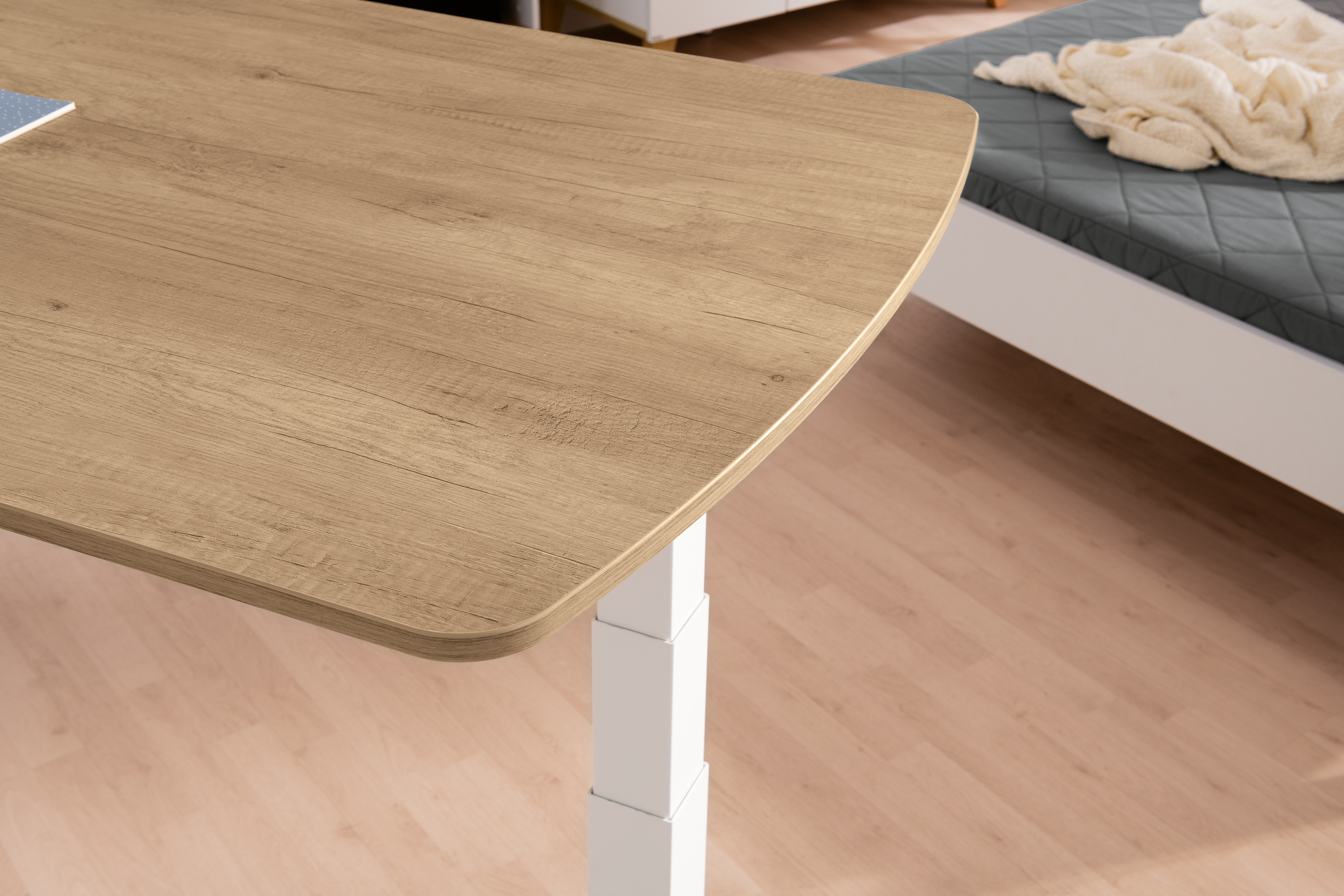 Paidi E-LION desk