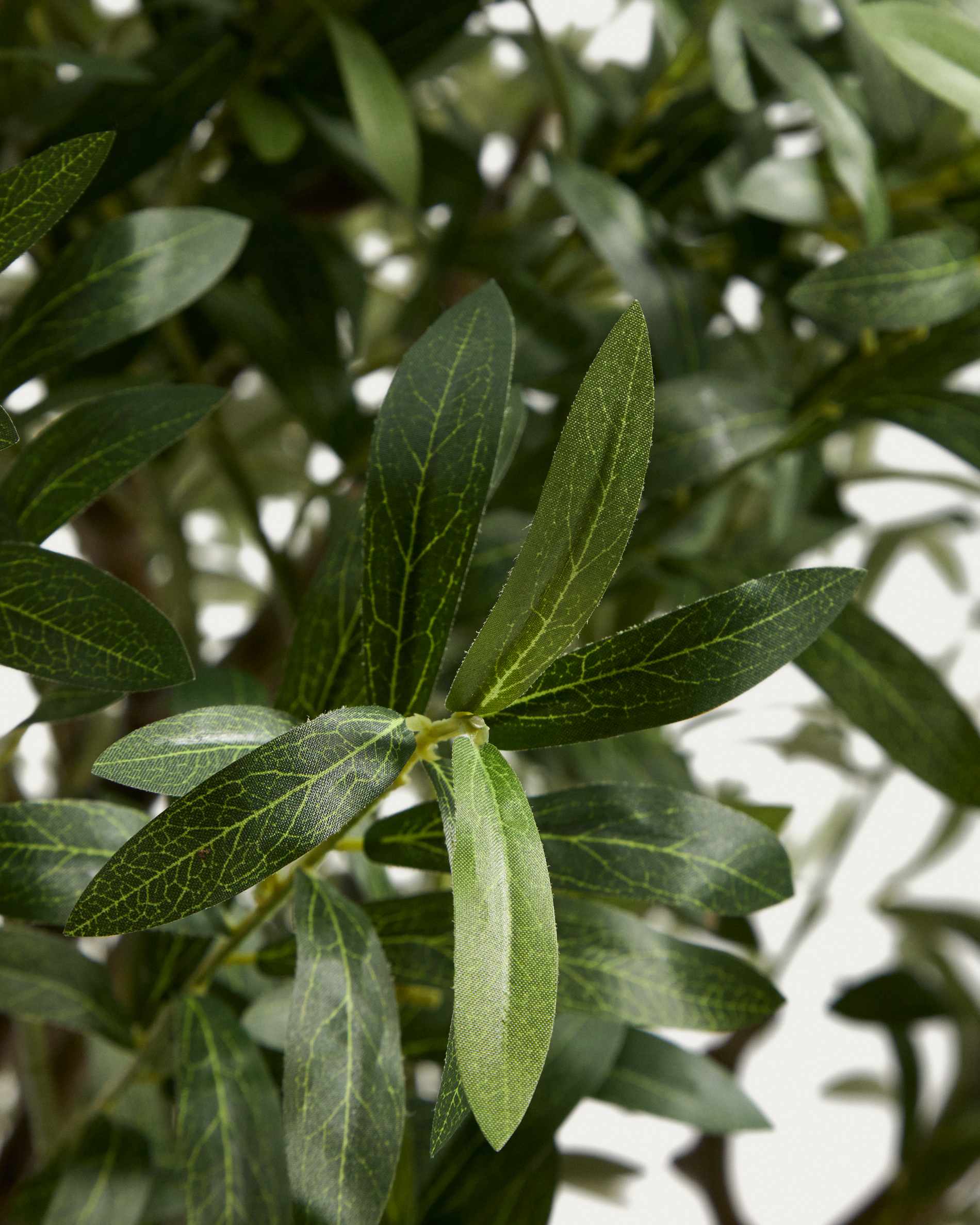 KAVE HOME Plante artificielle OLIVO