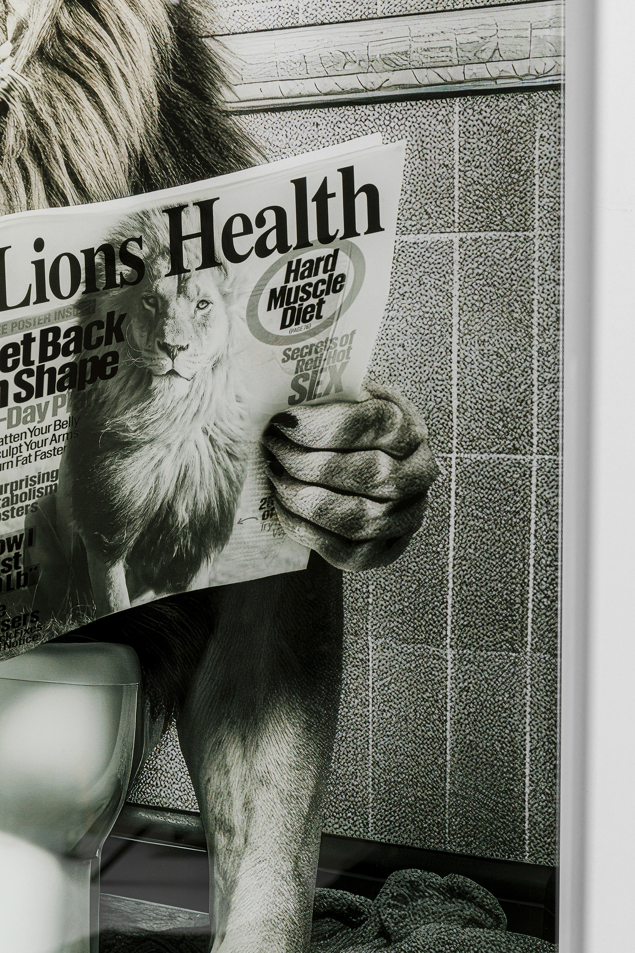 KARE Glasbild BATH LION KARE Glasbild BATH LION