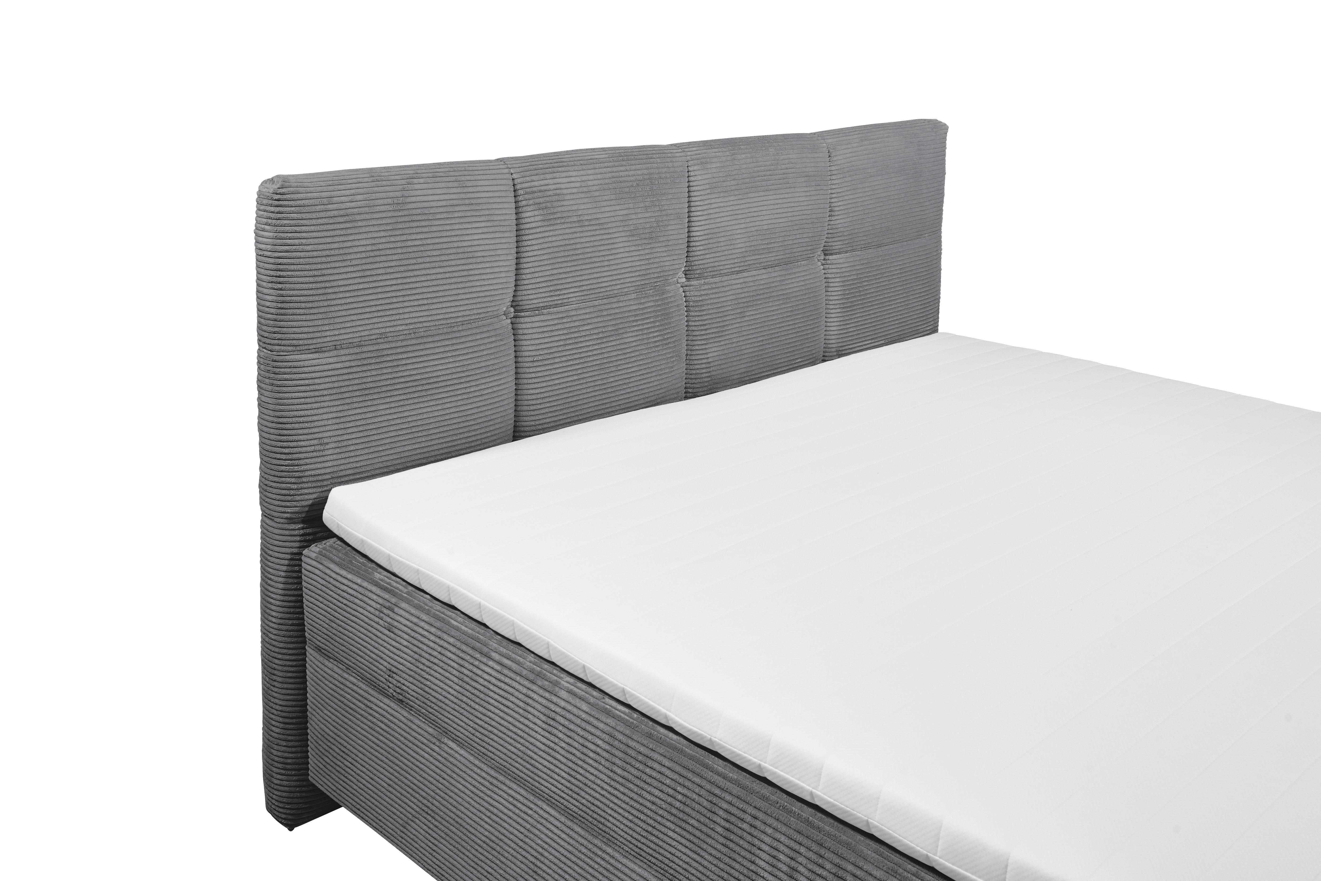 ED LIFESTYLE Boxbett TIJUANA ED LIFESTYLE Boxbett TIJUANA