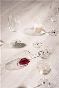 SCHOTT ZWIESEL Allroundglas VINOS