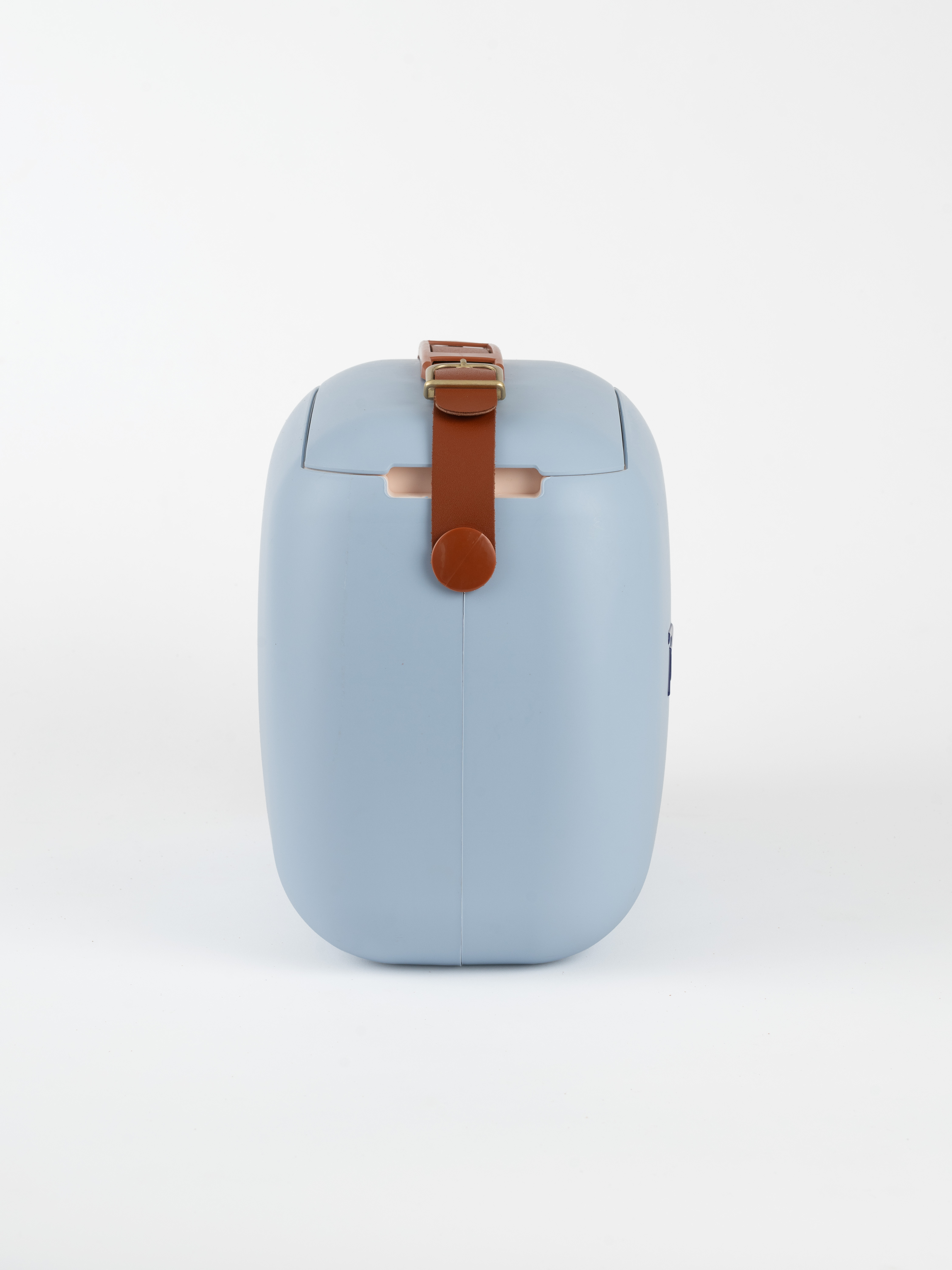 POLARBOX Coolerbag GOLD