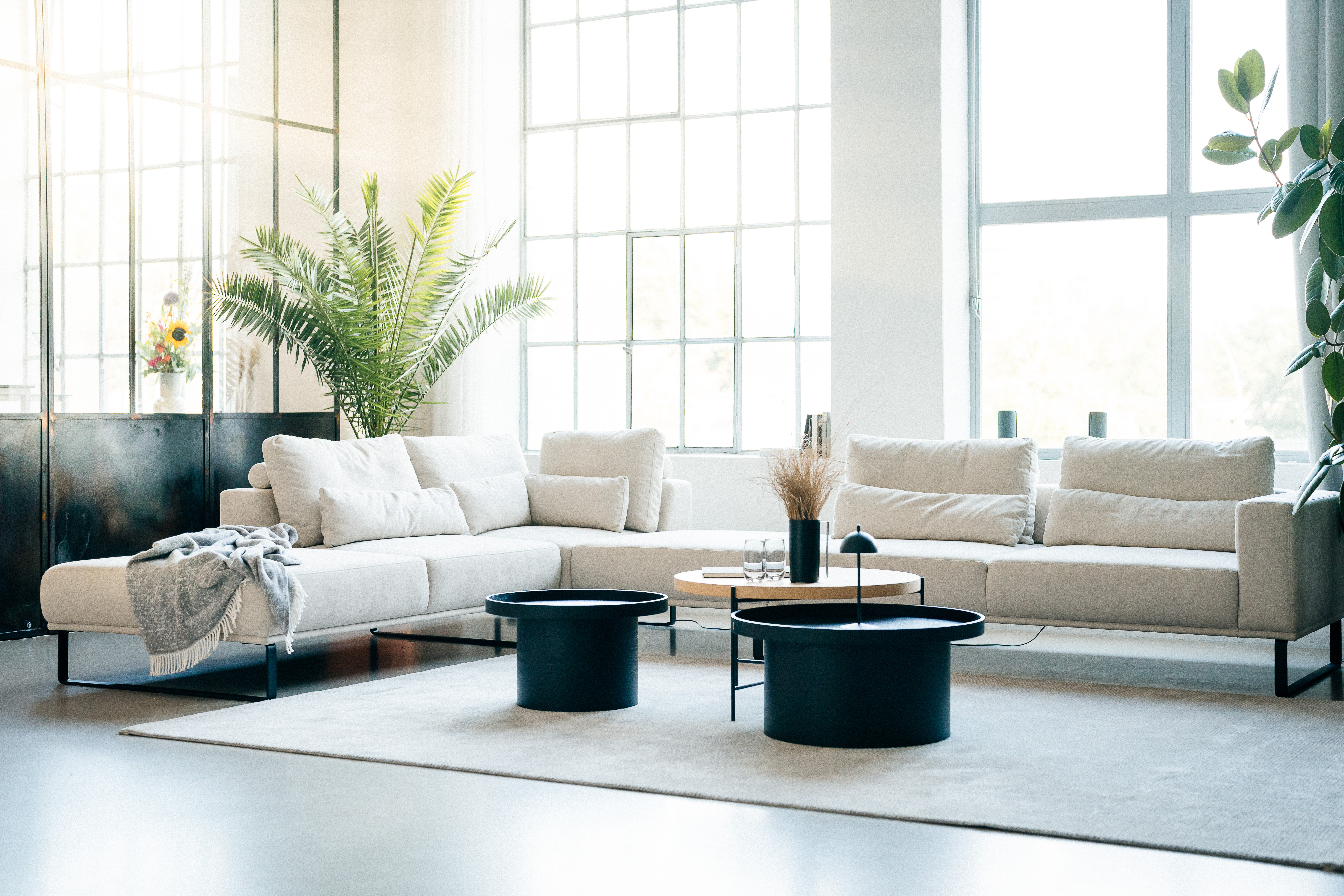 MUSTERRING Couchtisch JustB! CT100 MUSTERRING Couchtisch JustB! CT100