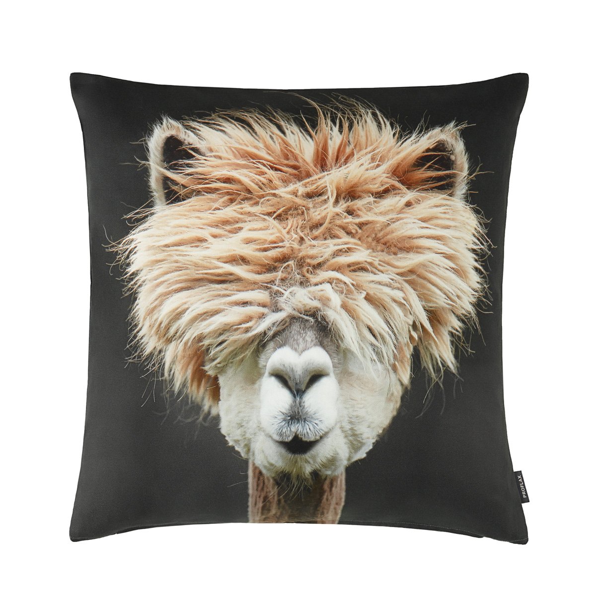 Proflax cushion cover