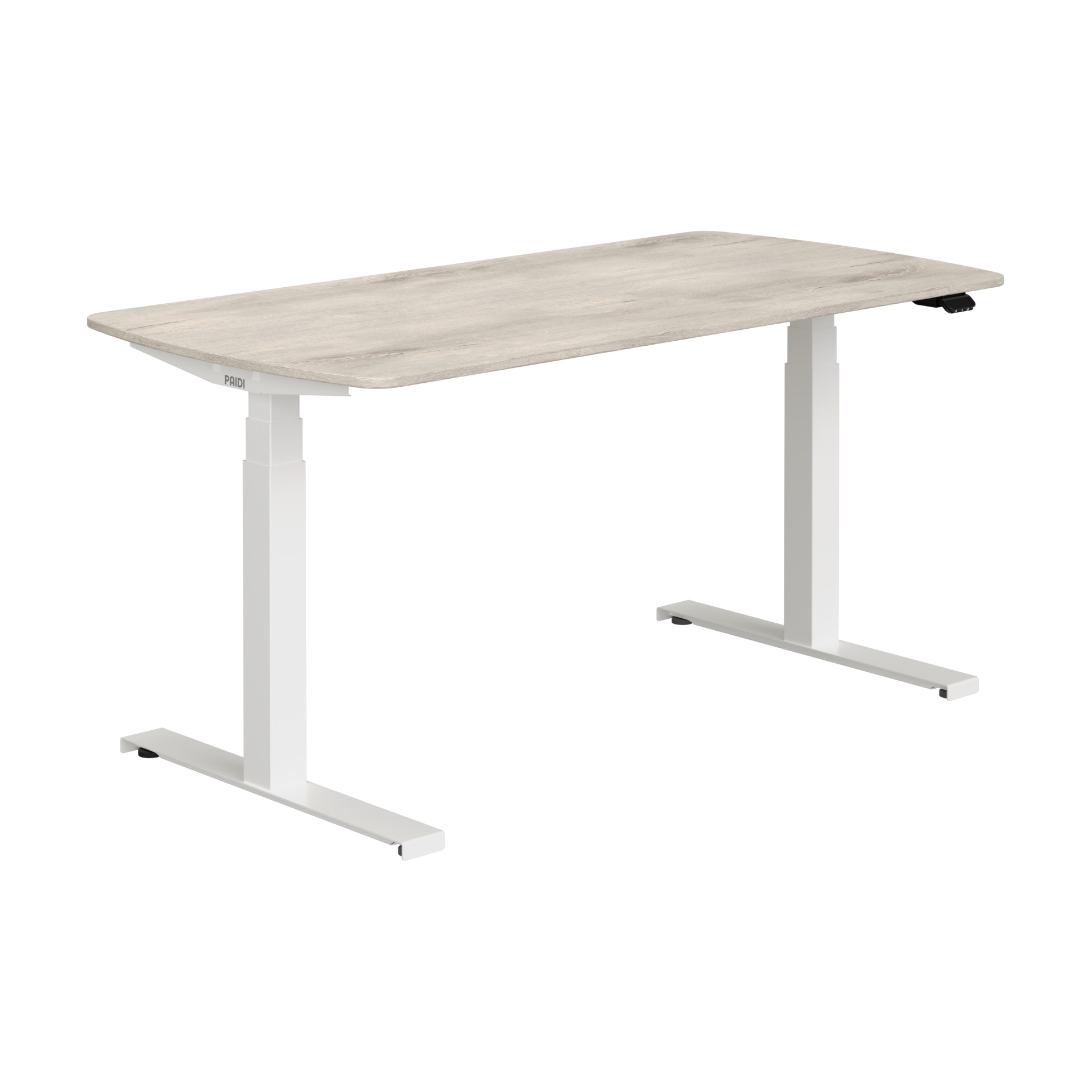 Paidi E-LION desk