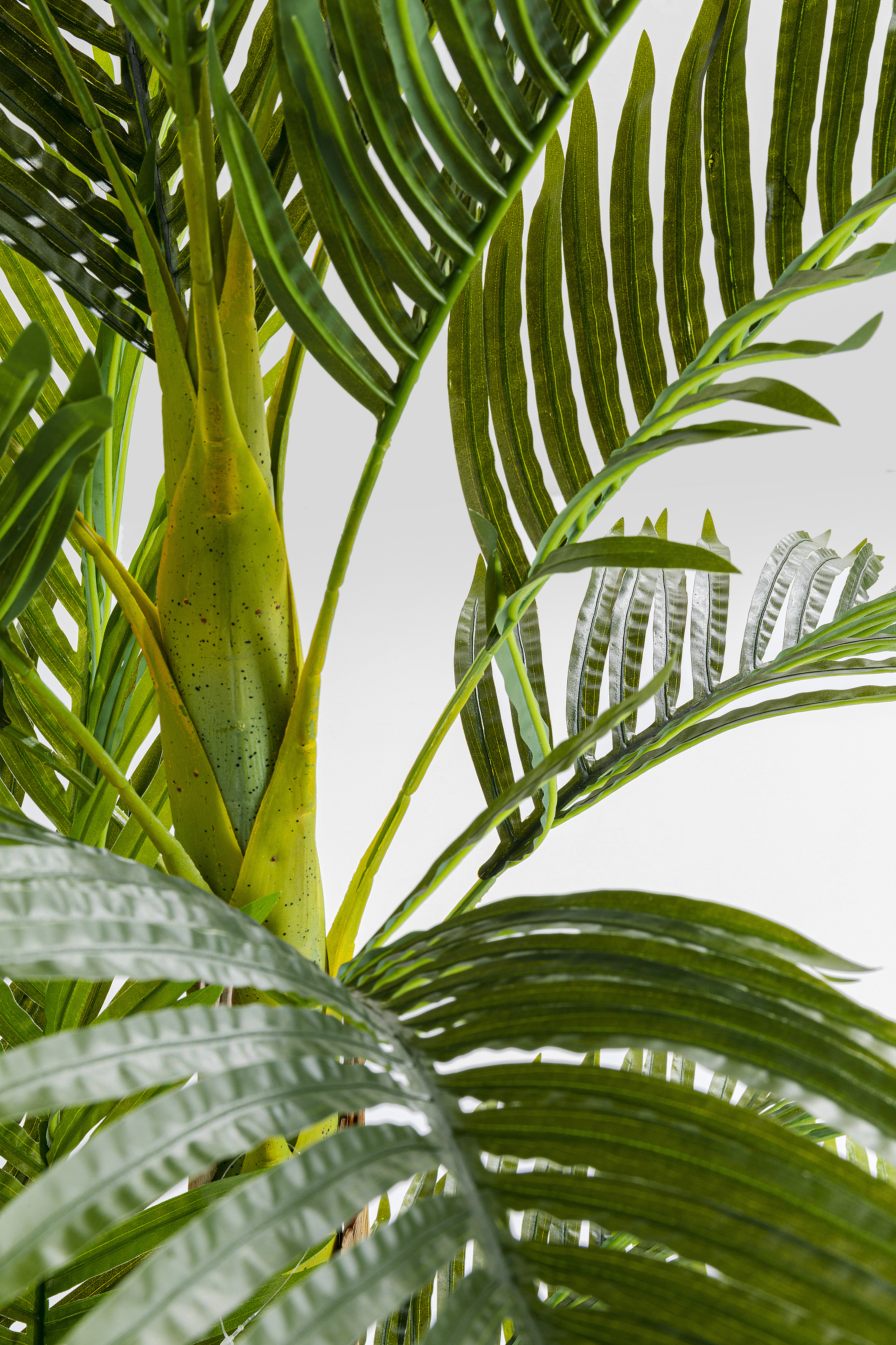 KARE Kunstpflanze PALM TREE KARE Kunstpflanze PALM TREE