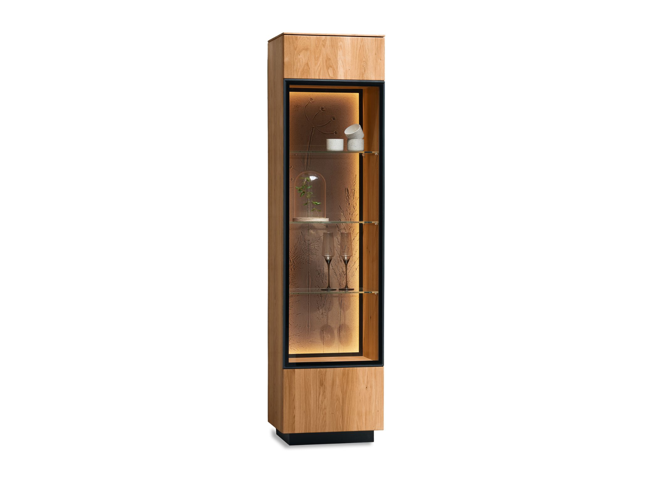 WIMMER TERRAFINE display case