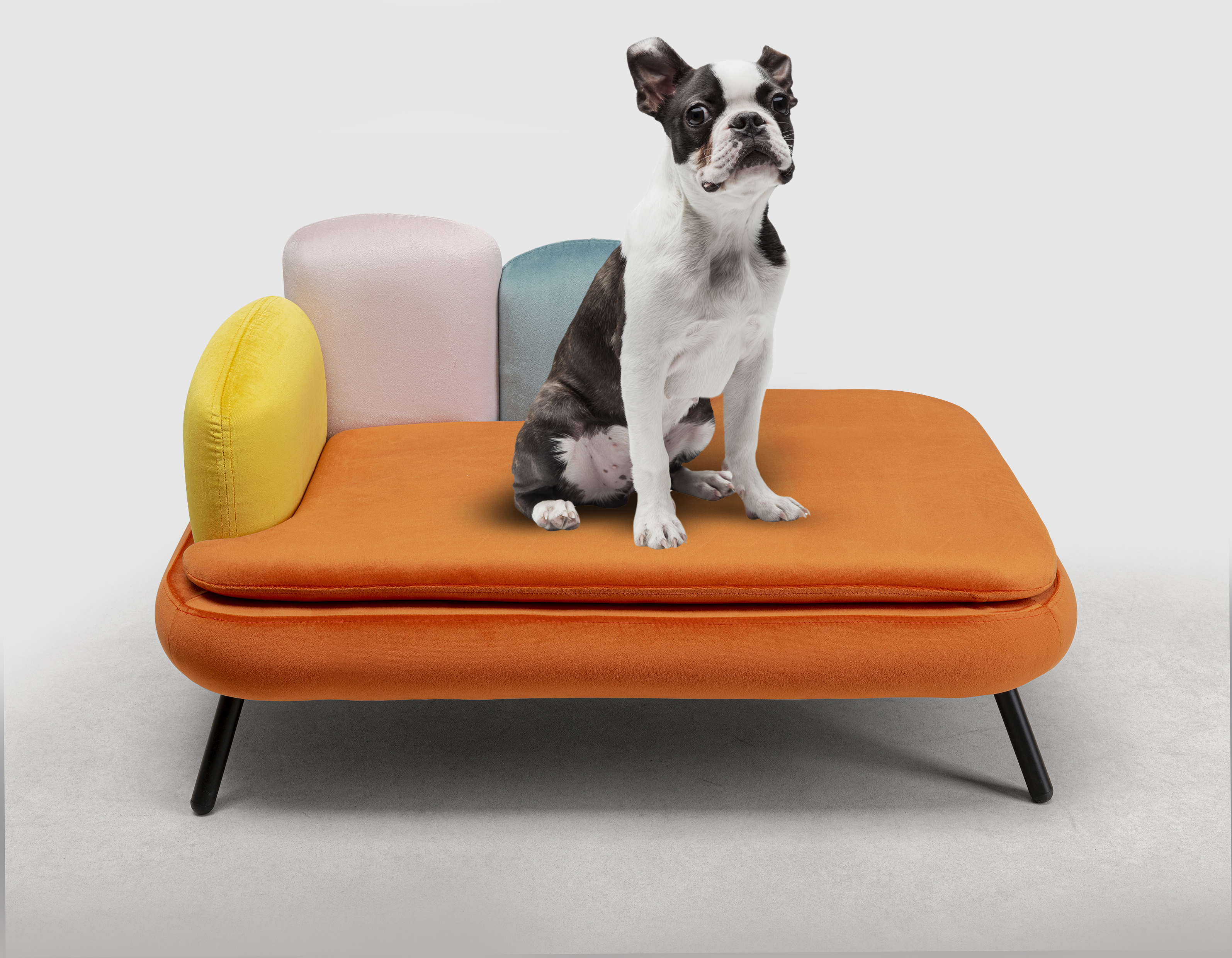 KARE dog bed DIVA