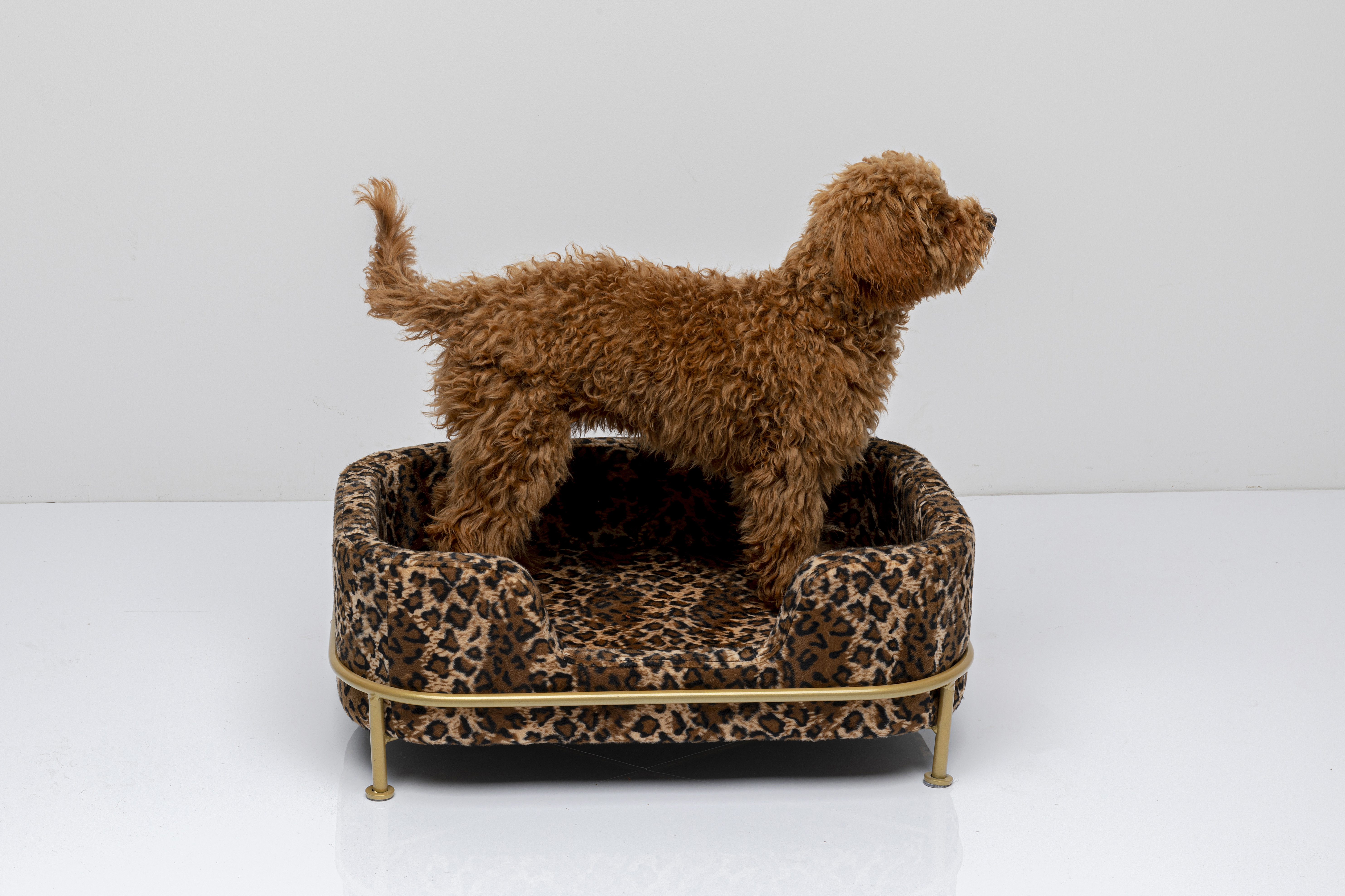 KARE Hundebett DIVA KARE Hundebett DIVA