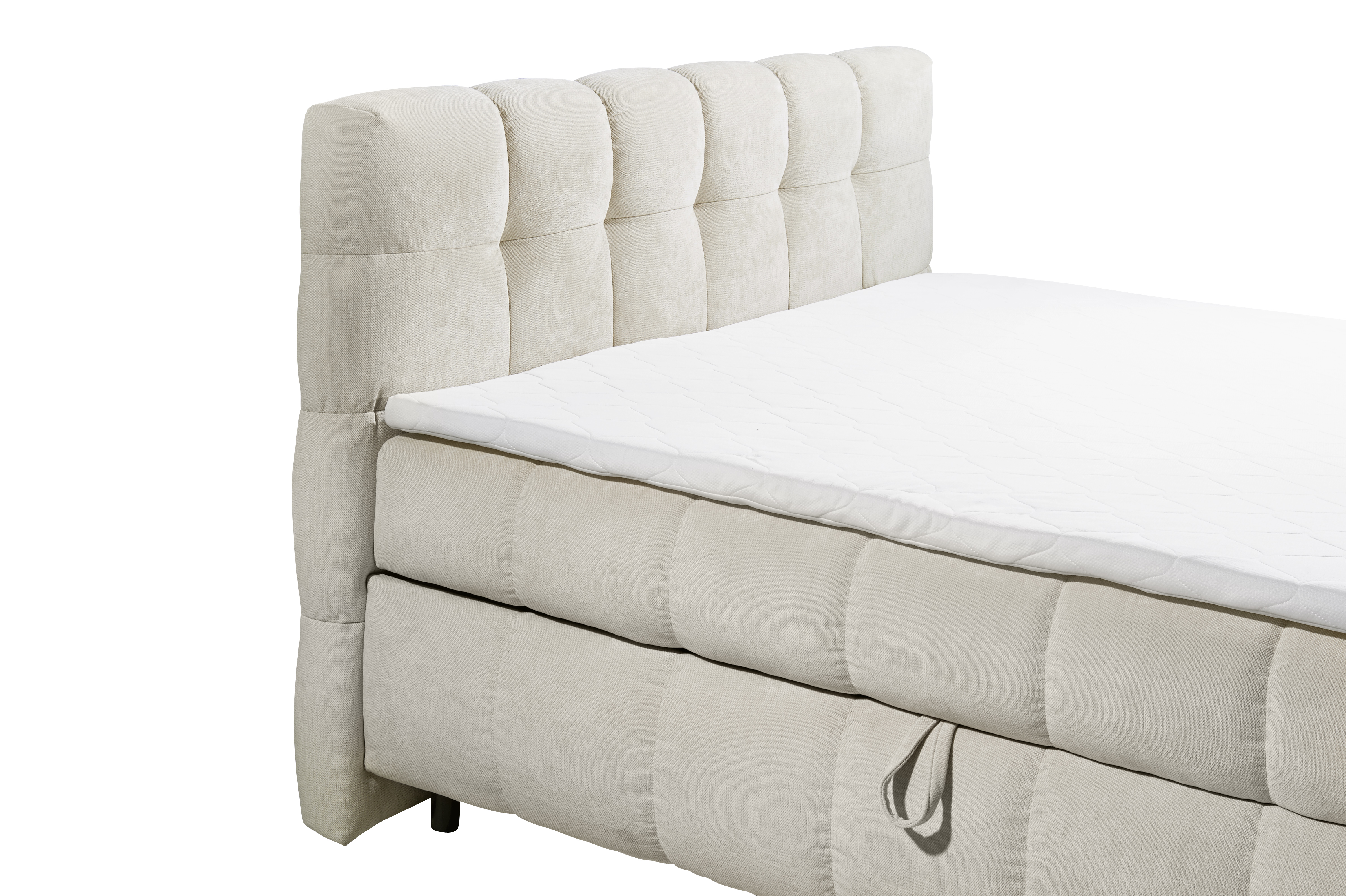 ED LIFESTYLE Boxbett KYLIE