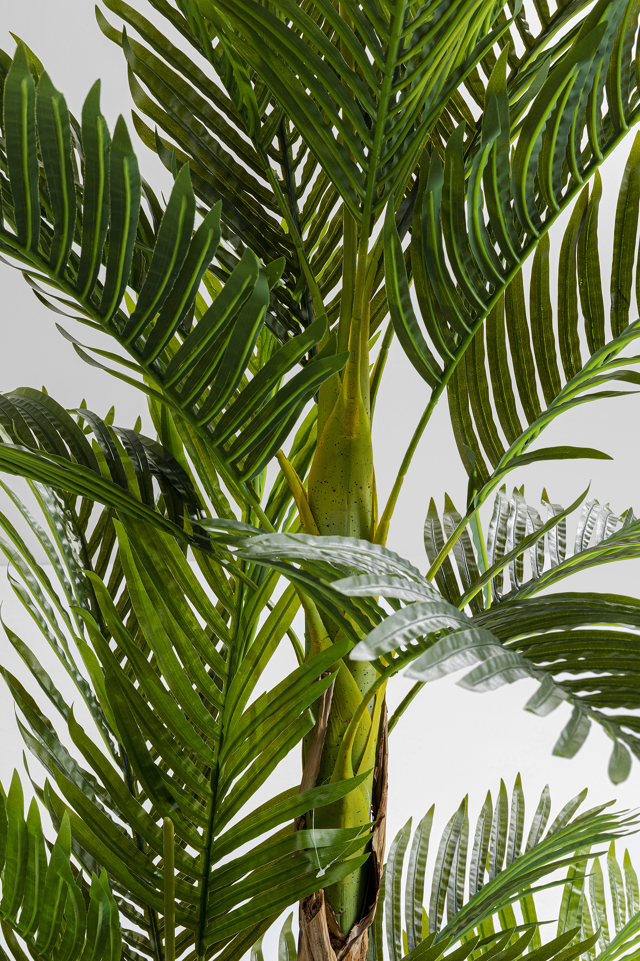 KARE Kunstpflanze PALM TREE KARE Kunstpflanze PALM TREE