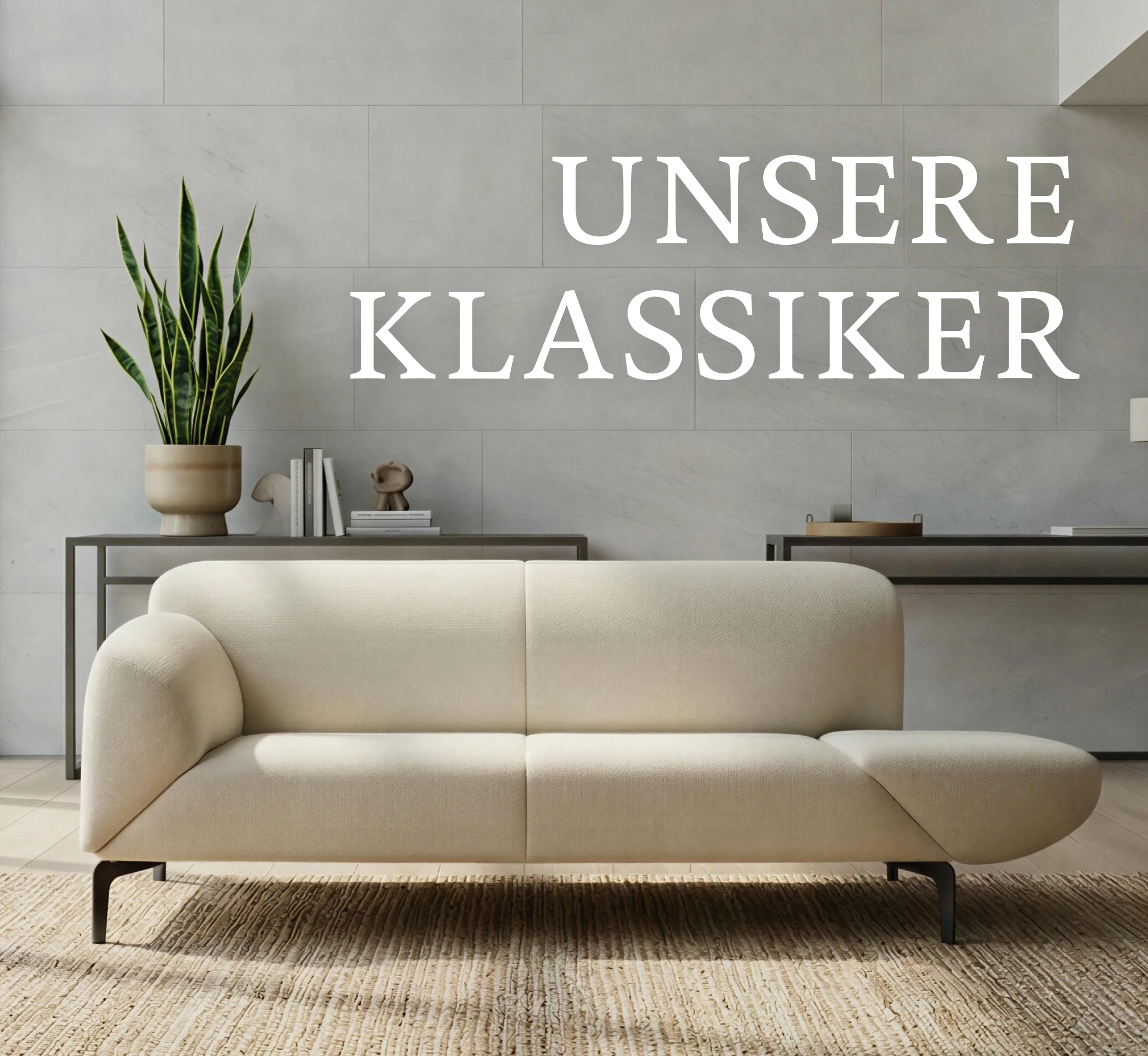 Découvrez dès maintenant nos classiques !