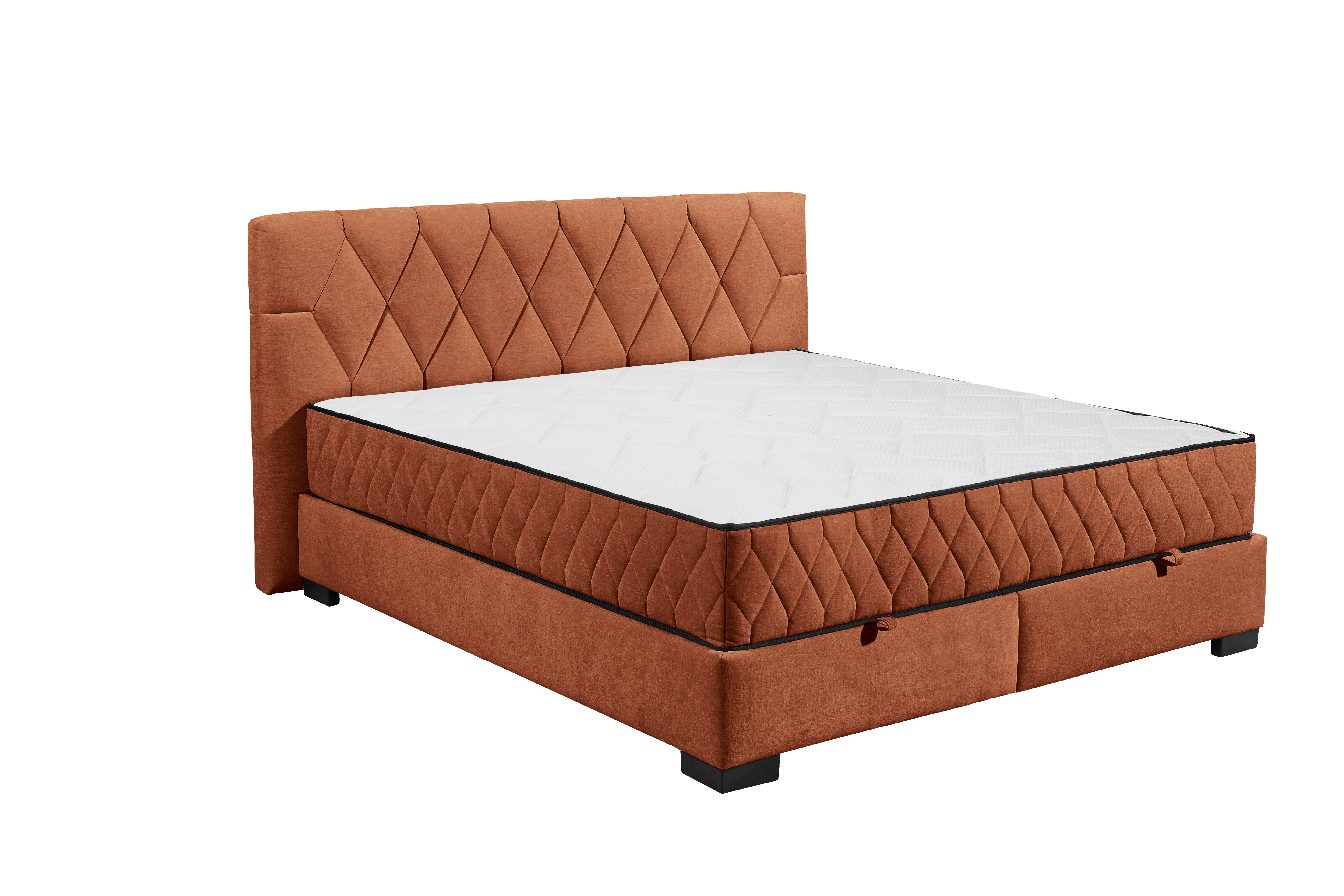 ED LIFESTYLE Boxbett NAGOL