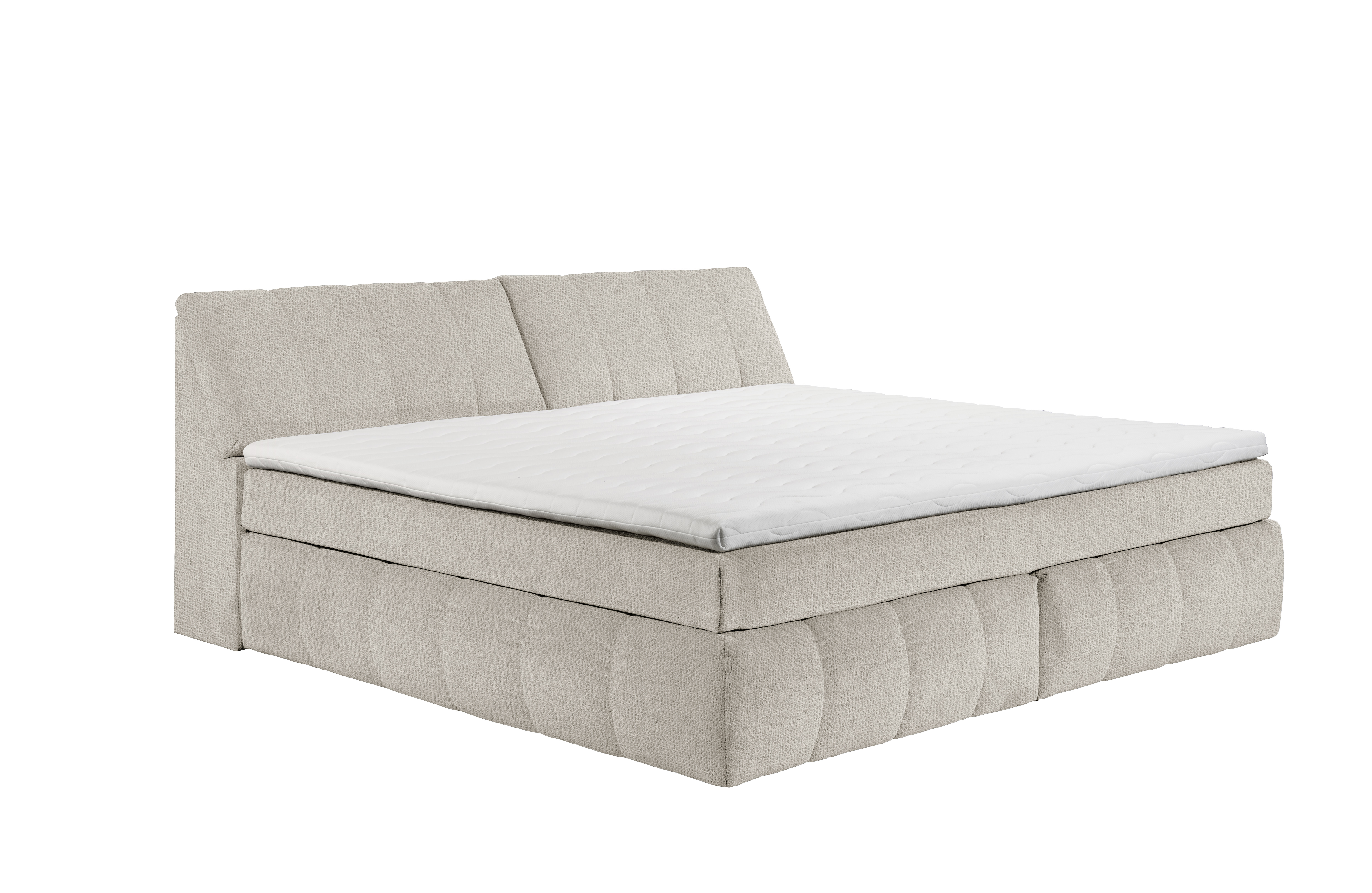 ED LIFESTYLE Boxbett BEARFORD