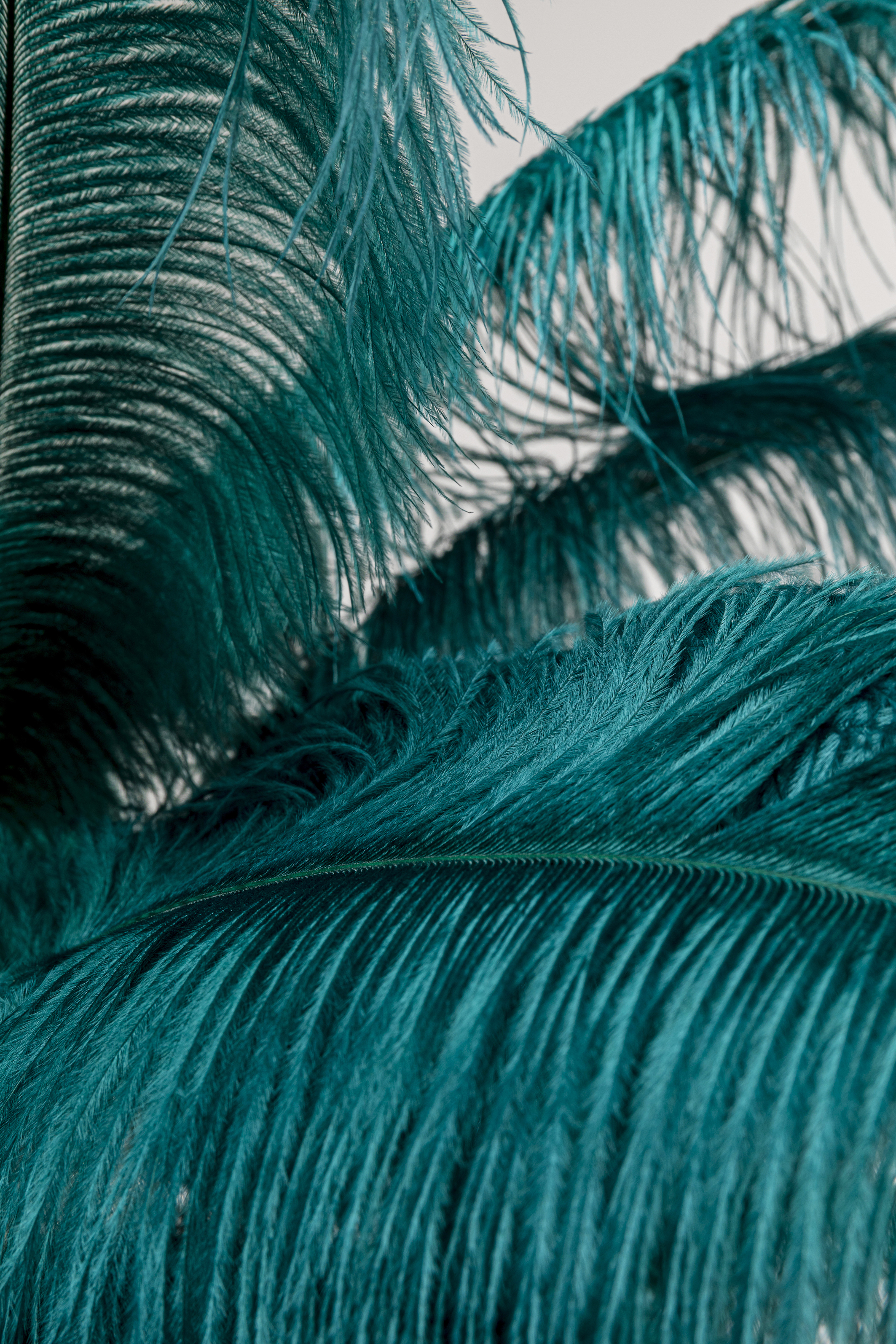 KARE Stehleuchte FEATHER PALM KARE Stehleuchte FEATHER PALM