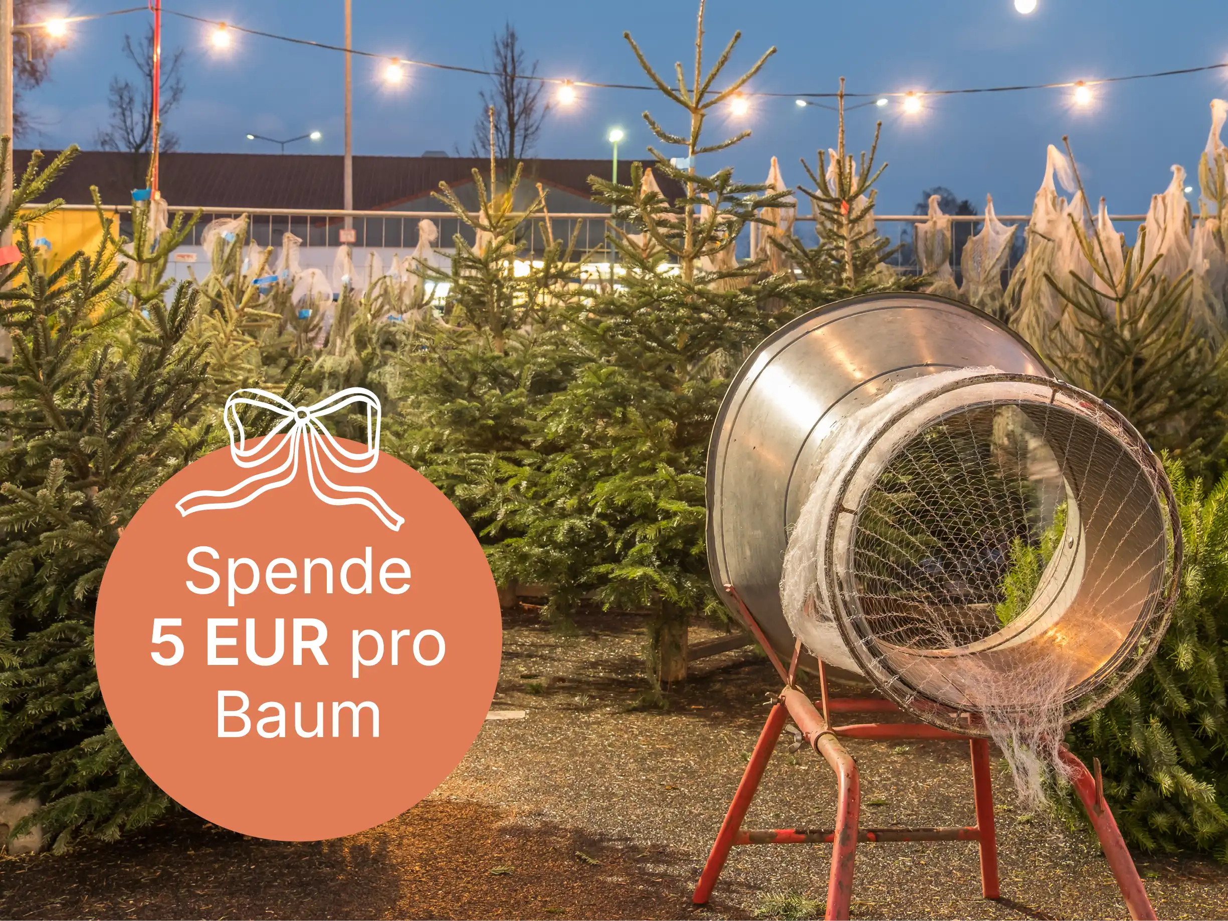 Weihnachtsbaumverkauf