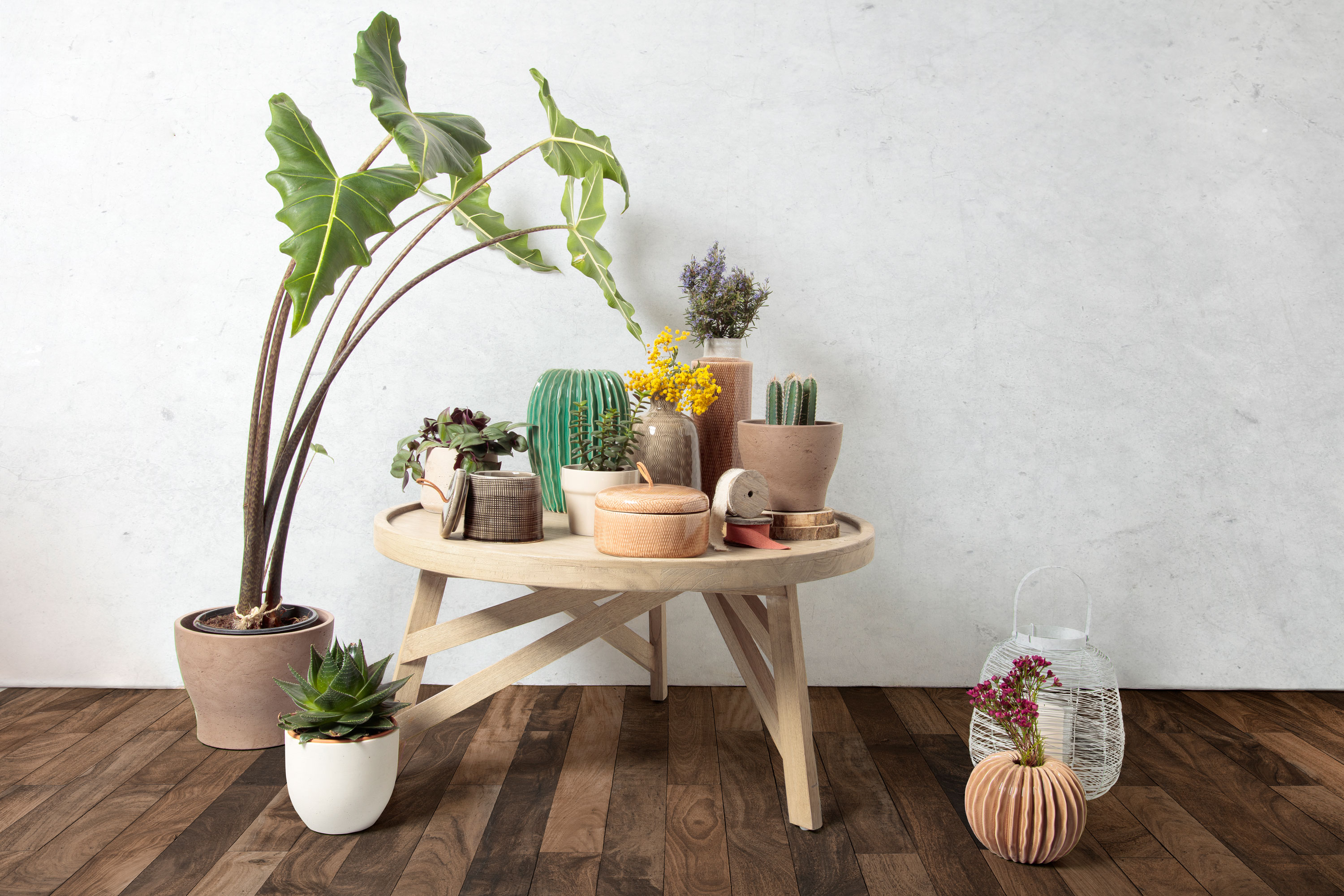 KAVE HOME Couchtisch TENDA KAVE HOME Couchtisch TENDA