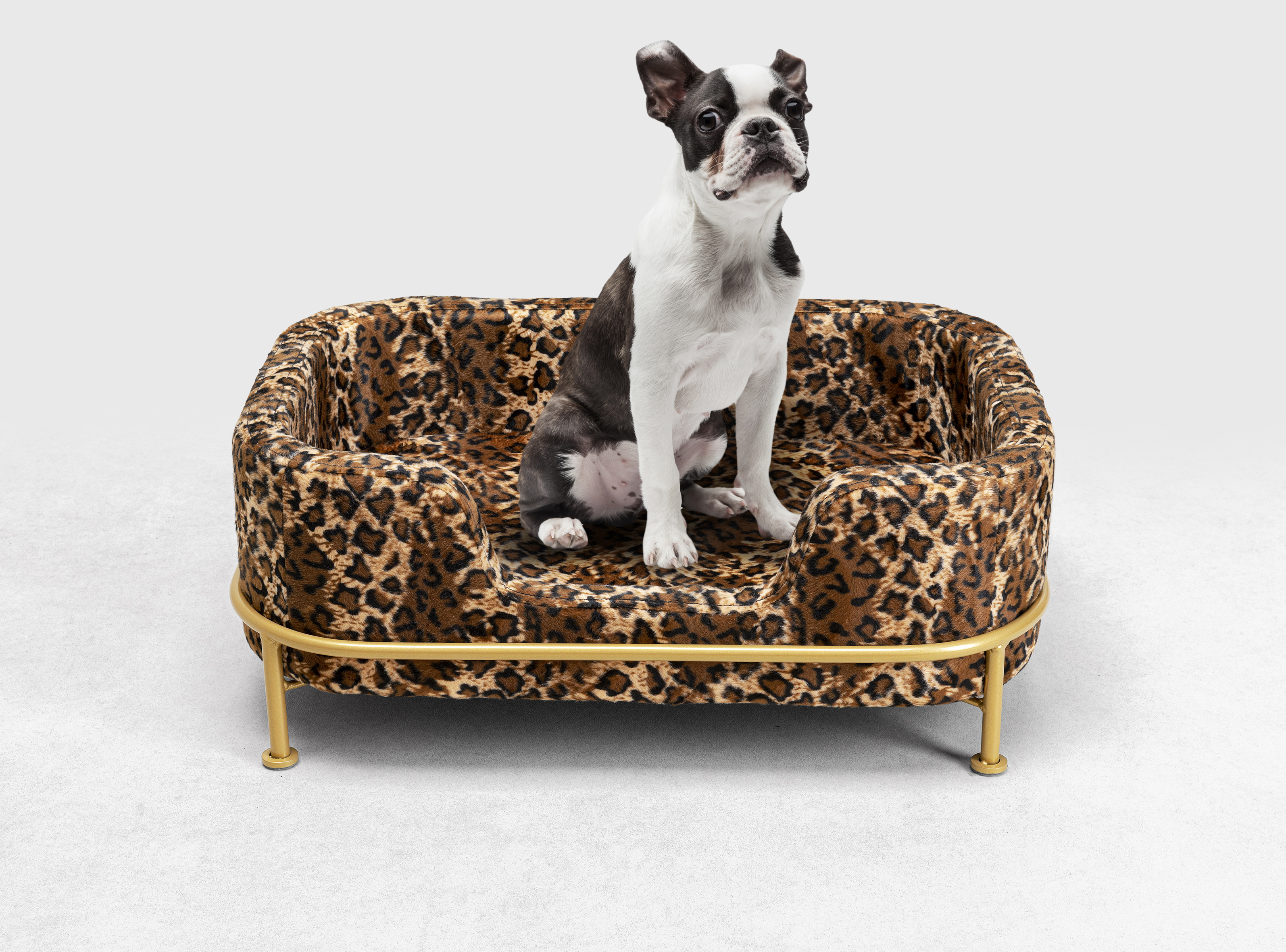 KARE Hundebett DIVA KARE Hundebett DIVA