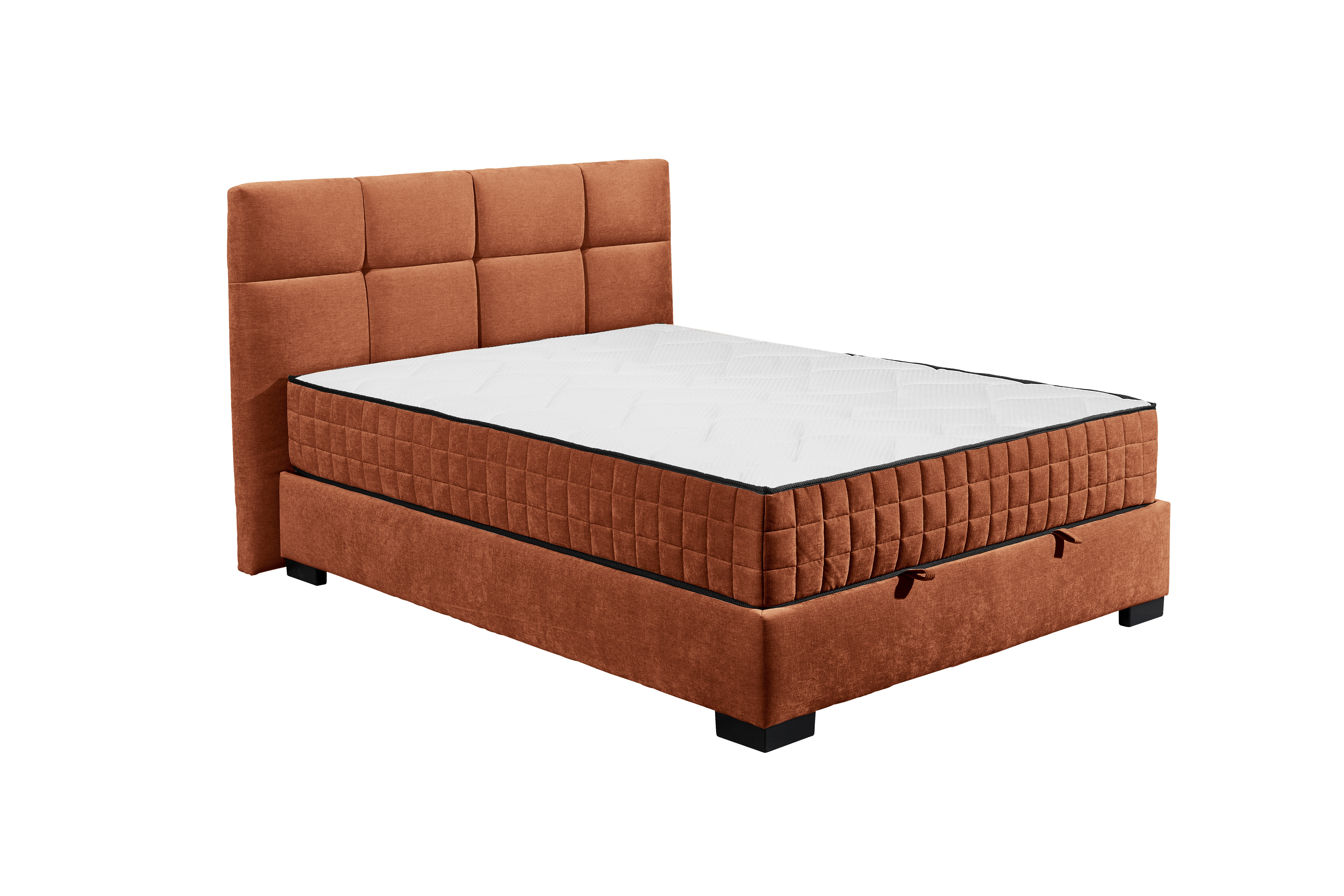 ED LIFESTYLE Boxbett NAGOL