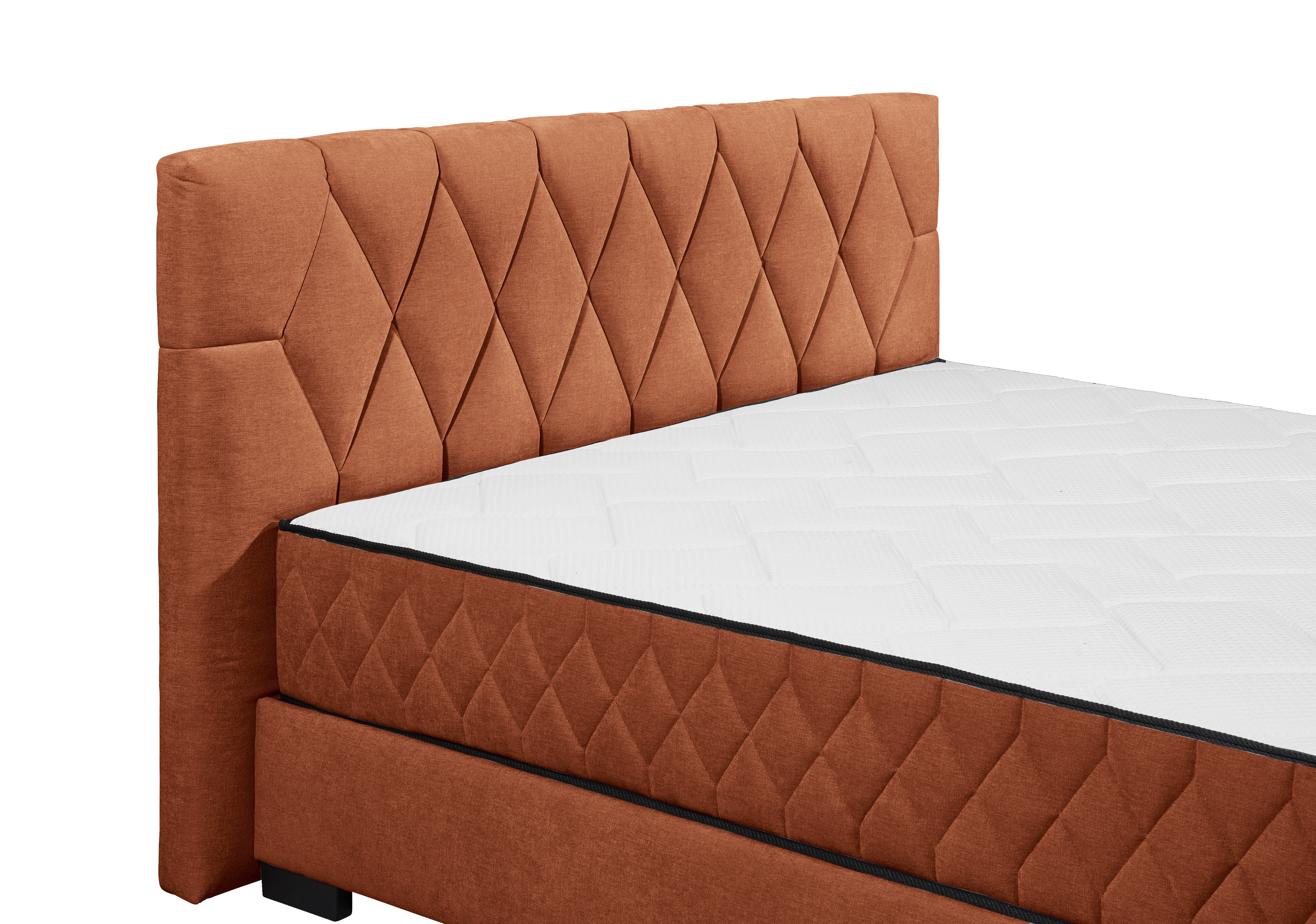 ED LIFESTYLE Boxbett NAGOL