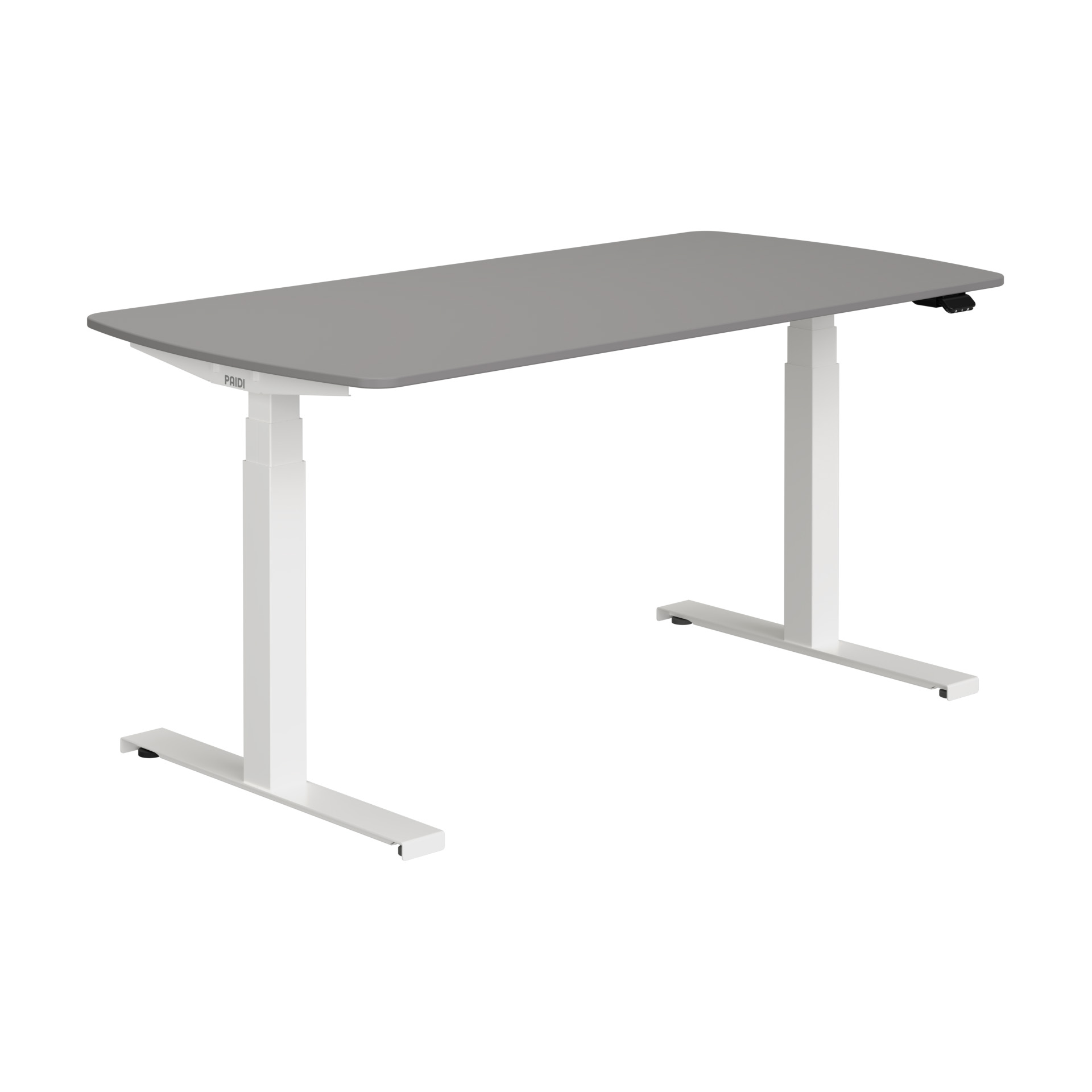 Paidi E-LION desk
