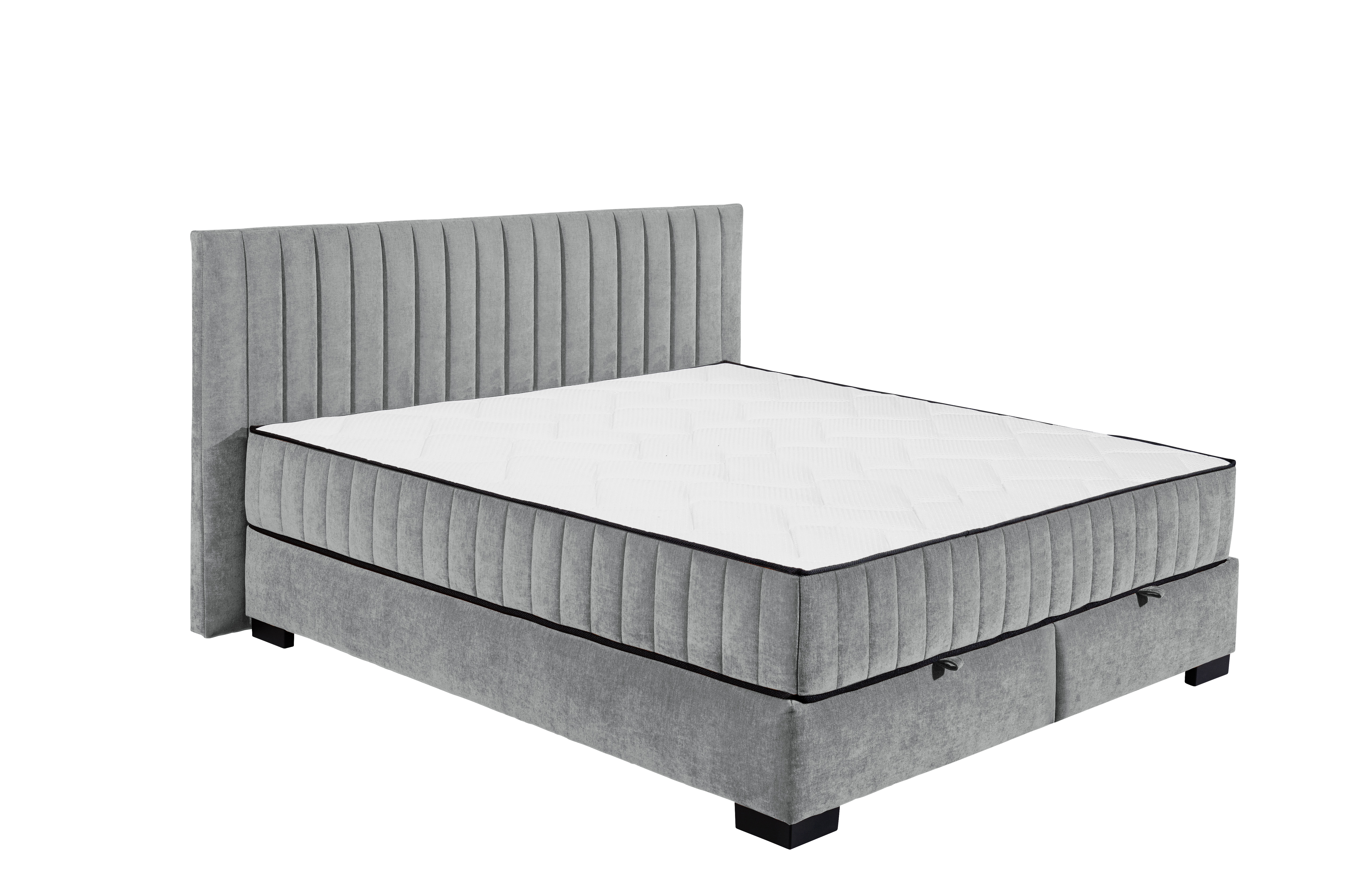 ED LIFESTYLE Boxbett NAGOL