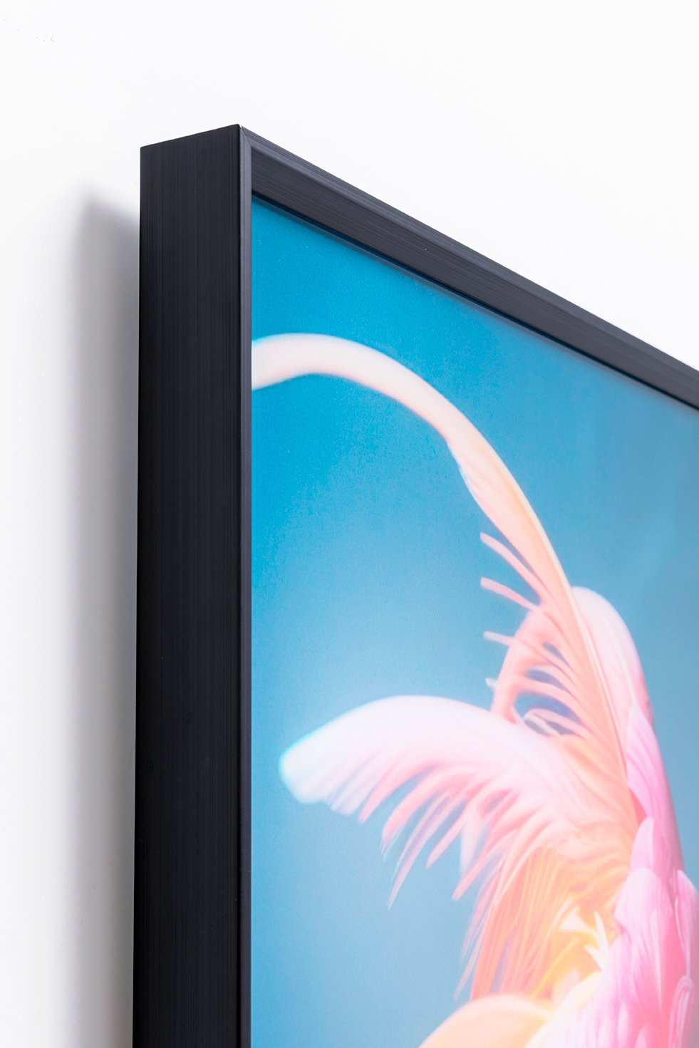 KARE Glasbild COCKATOO CHATTER