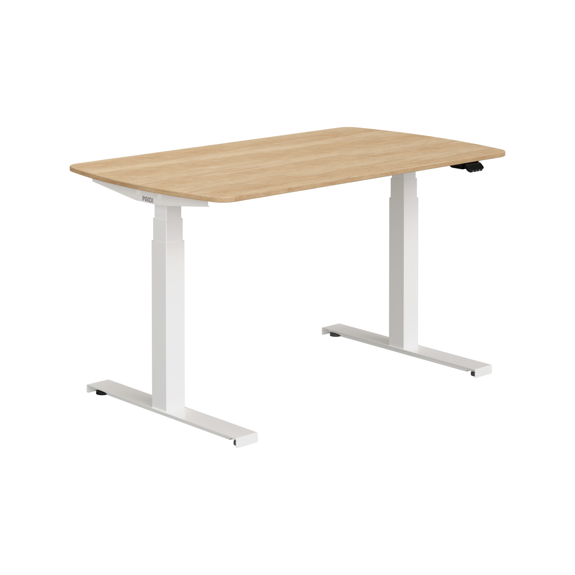 Paidi E-LION desk